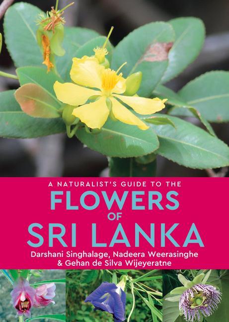 Vorderes Coverbild A Naturalist's Guide to the Flowers of Sri Lanka