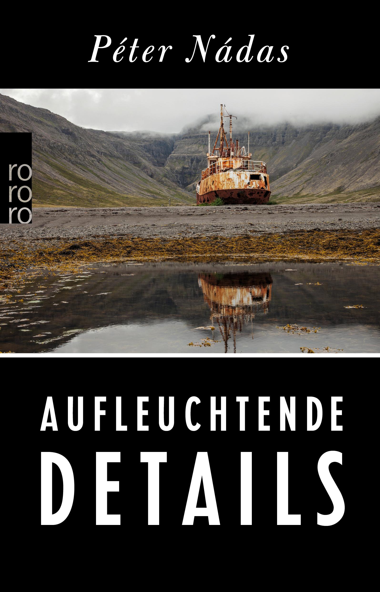 Vorderes Coverbild Aufleuchtende Details