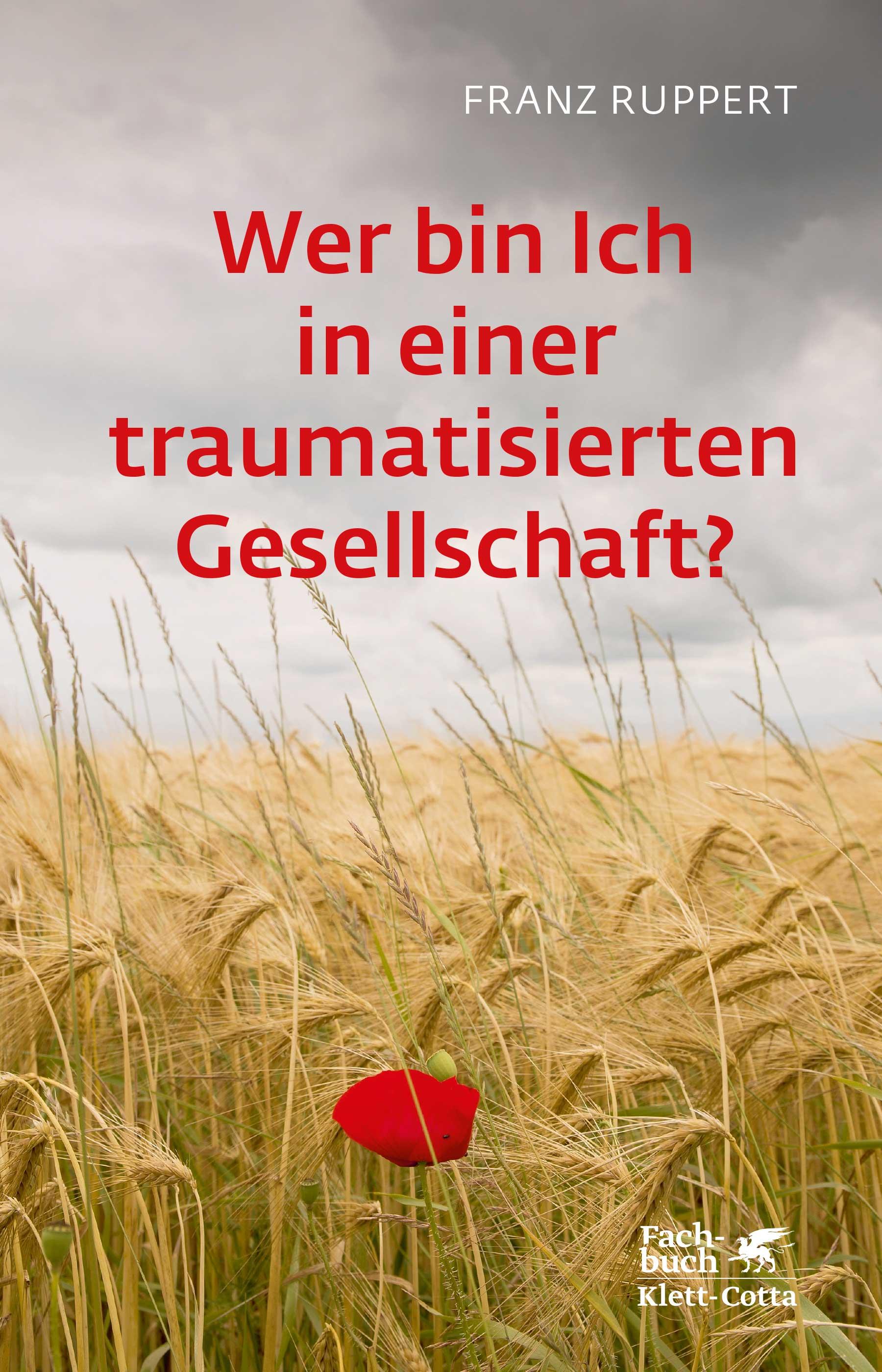 Vorderes Coverbild Wer bin ich in einer traumatisierten Gesellschaft?