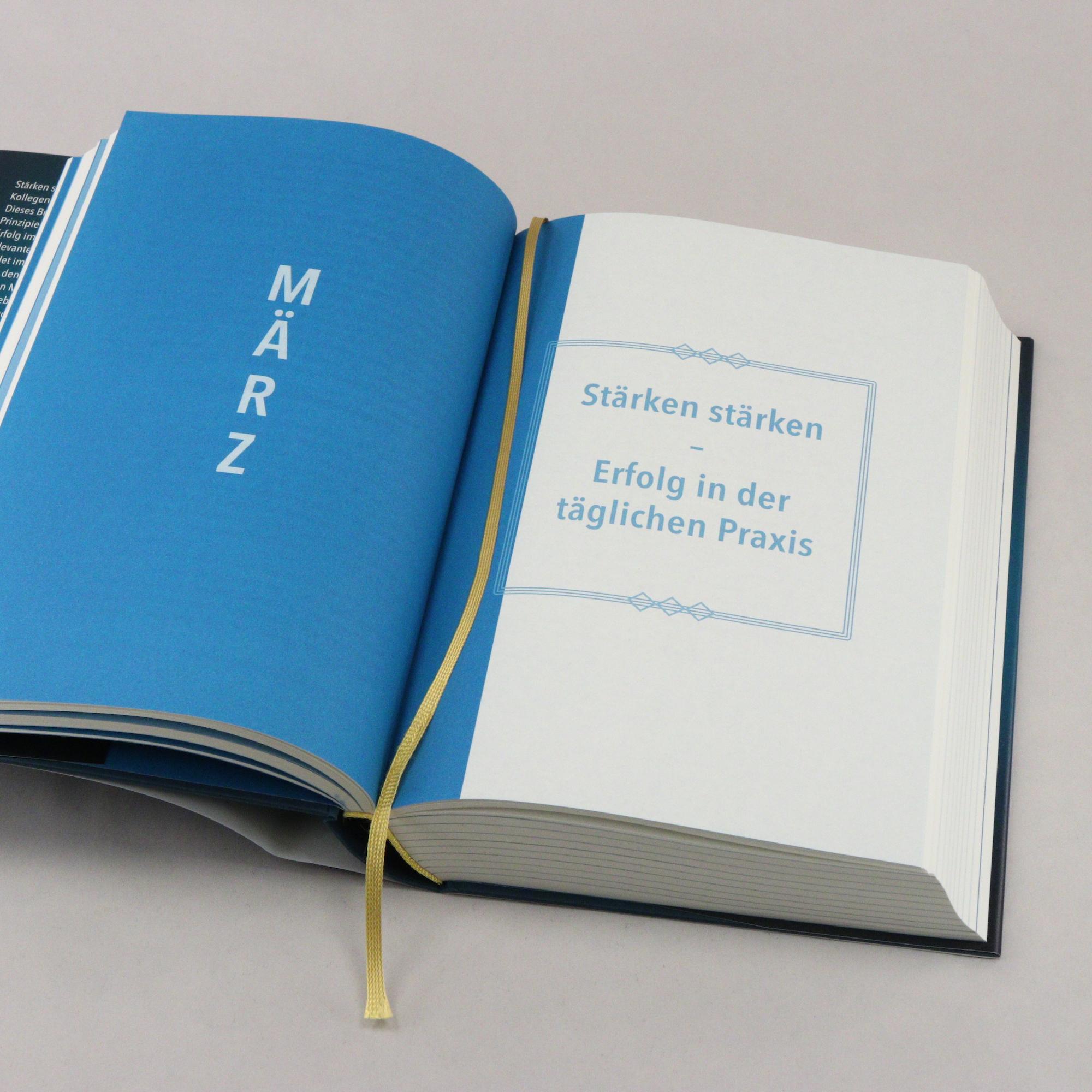 Beispielinhalt (Bild) Die Karriere-Bibel