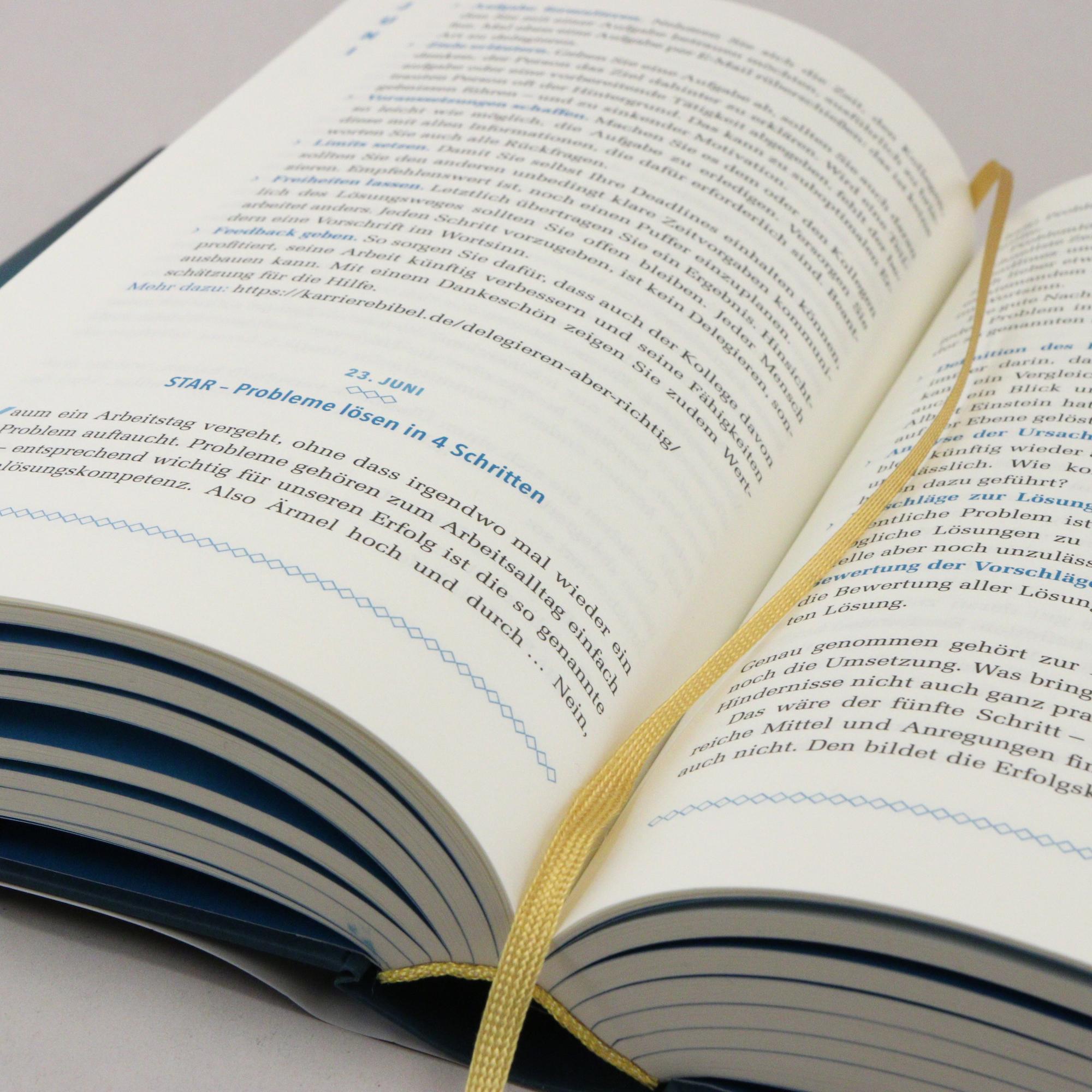 Beispielinhalt (Bild) Die Karriere-Bibel