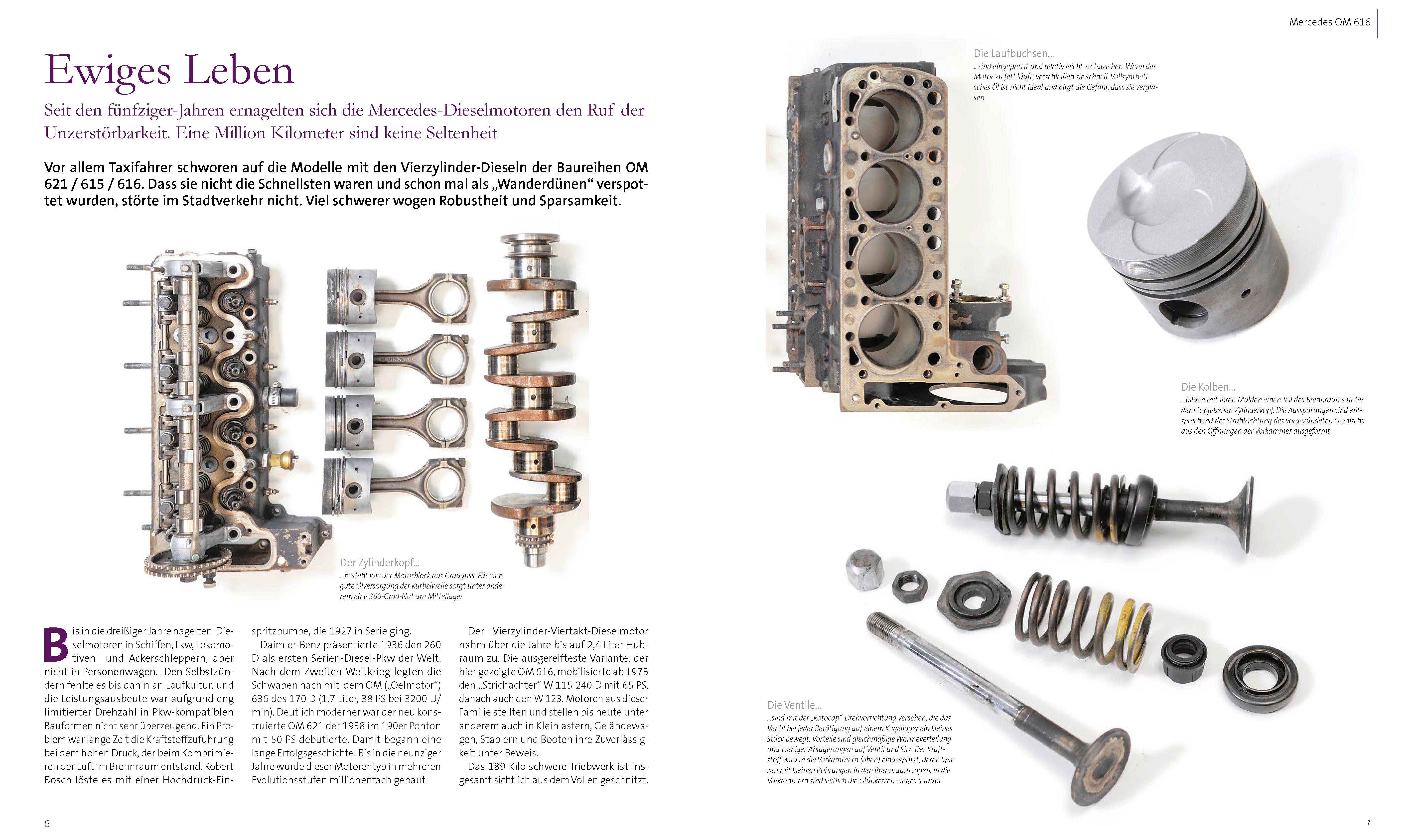 Beispielinhalt (Bild) Motoren-Anatomie
