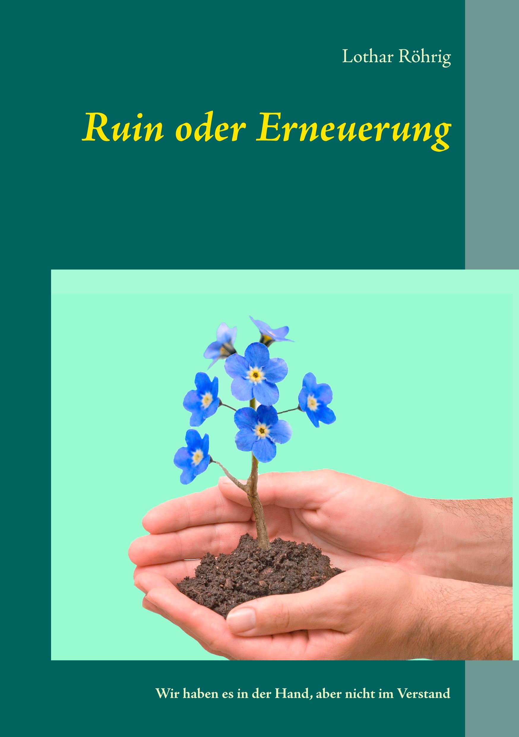 Vorderes Coverbild Ruin oder Erneuerung