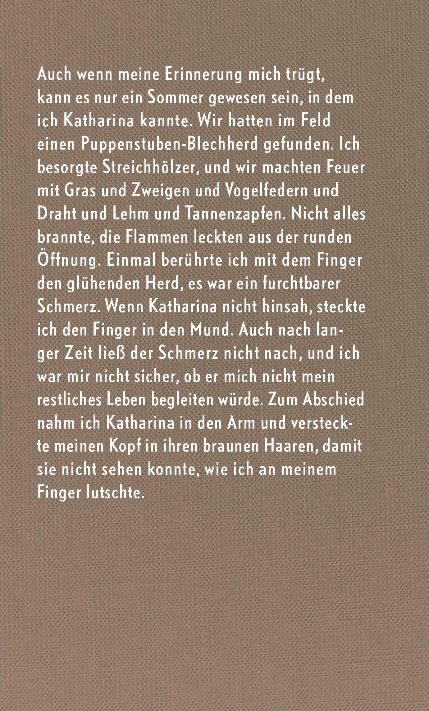 Rückseitencover Stimmen