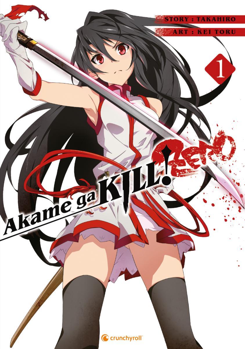 Vorderes Coverbild Akame ga KILL! ZERO 01