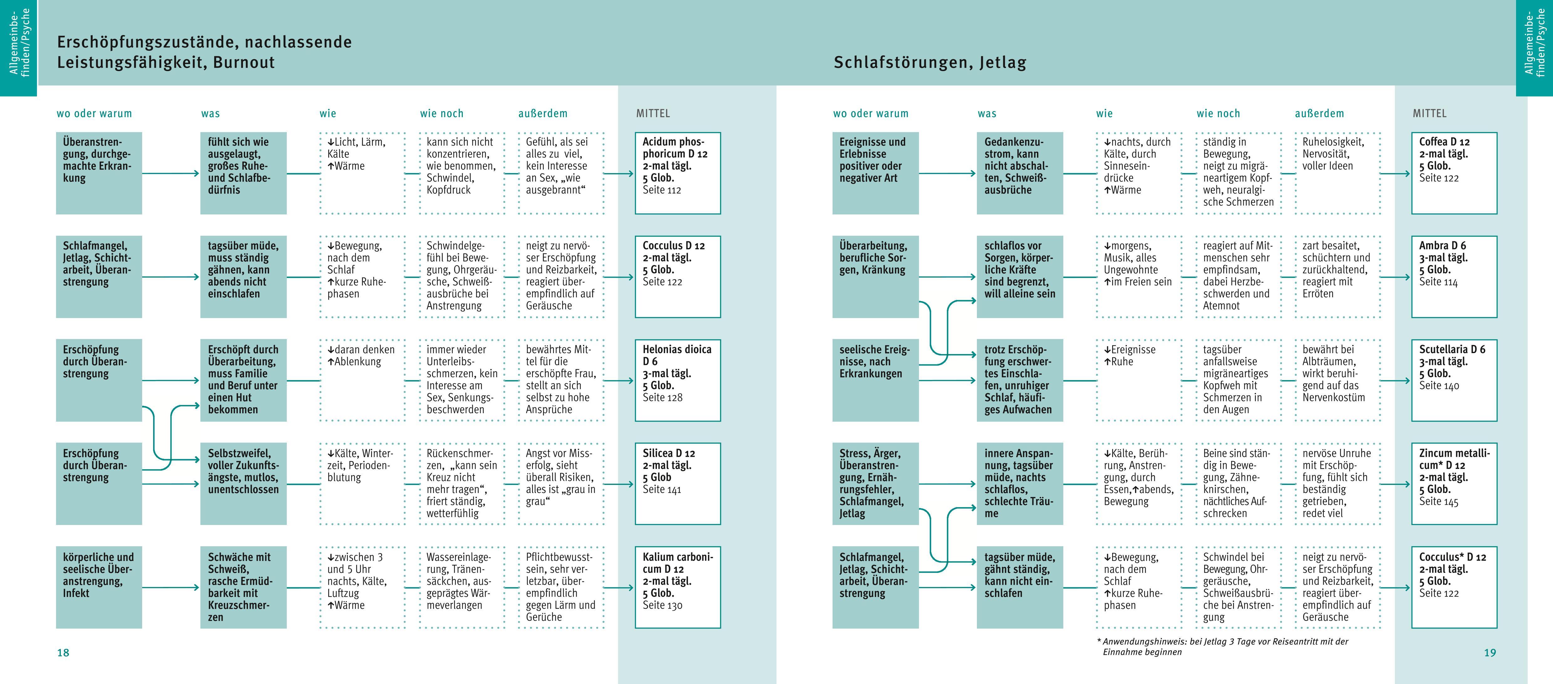 Beispielinhalt (Bild) Quickfinder Homöopathie