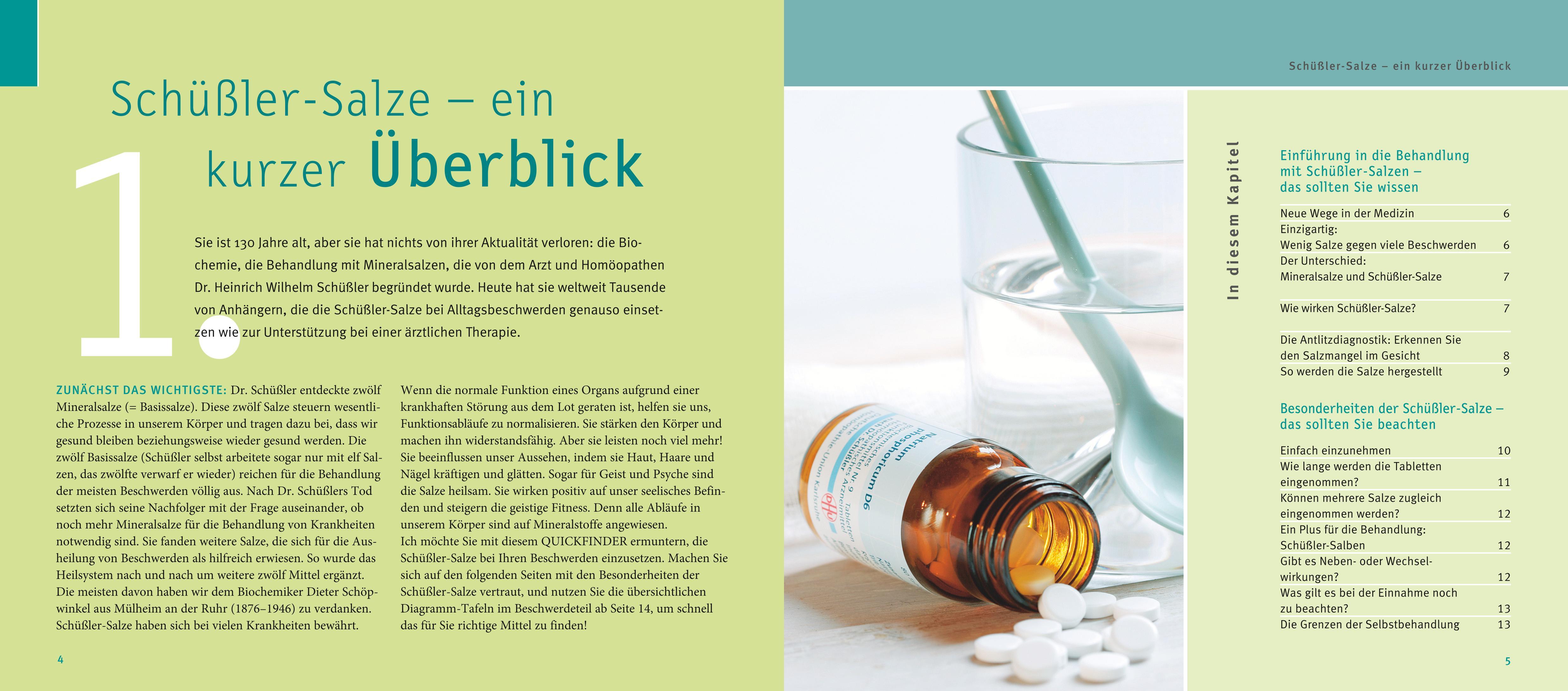 Beispielinhalt (Bild) Schüßler-Salze, Quickfinder