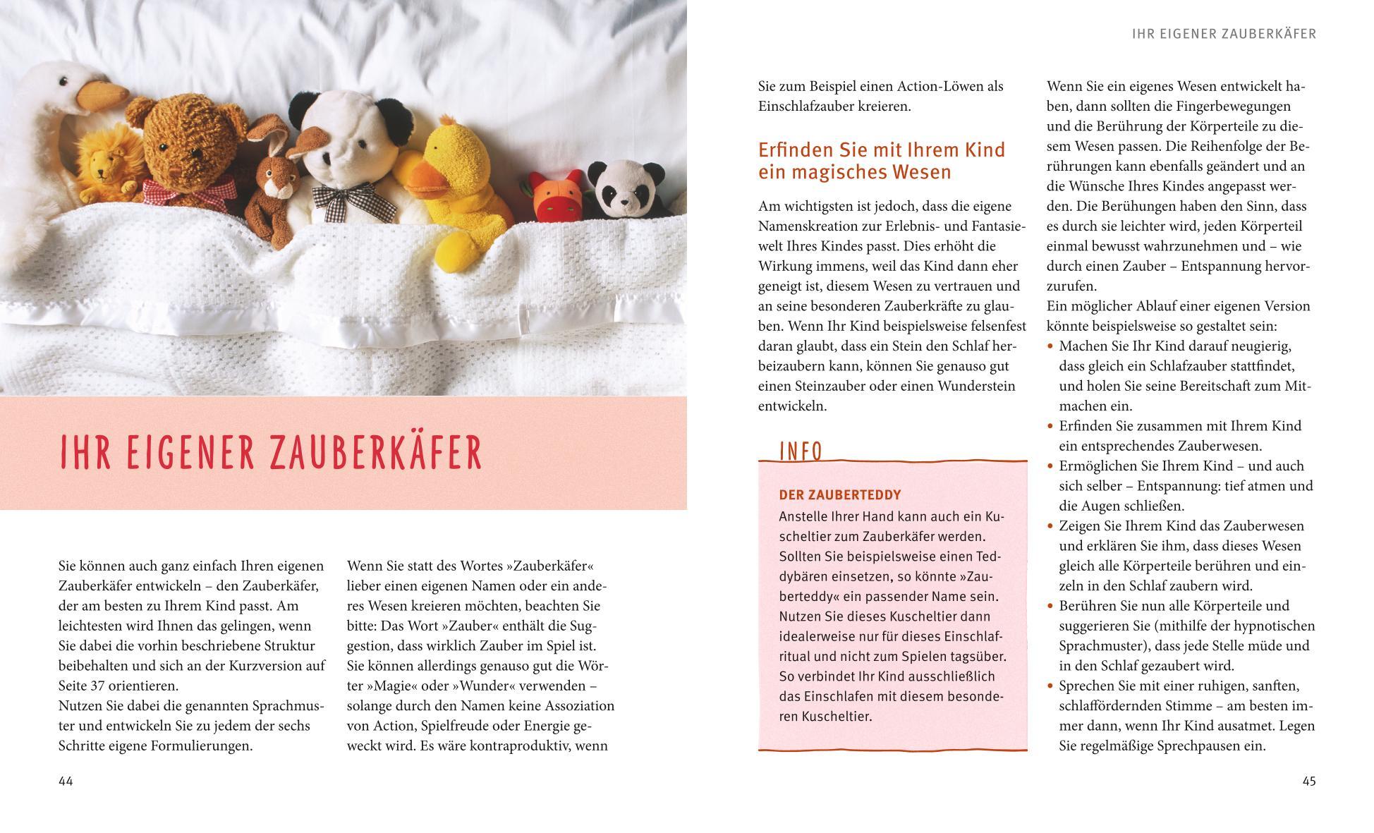 Beispielinhalt (Bild) Der Zauberkäfer