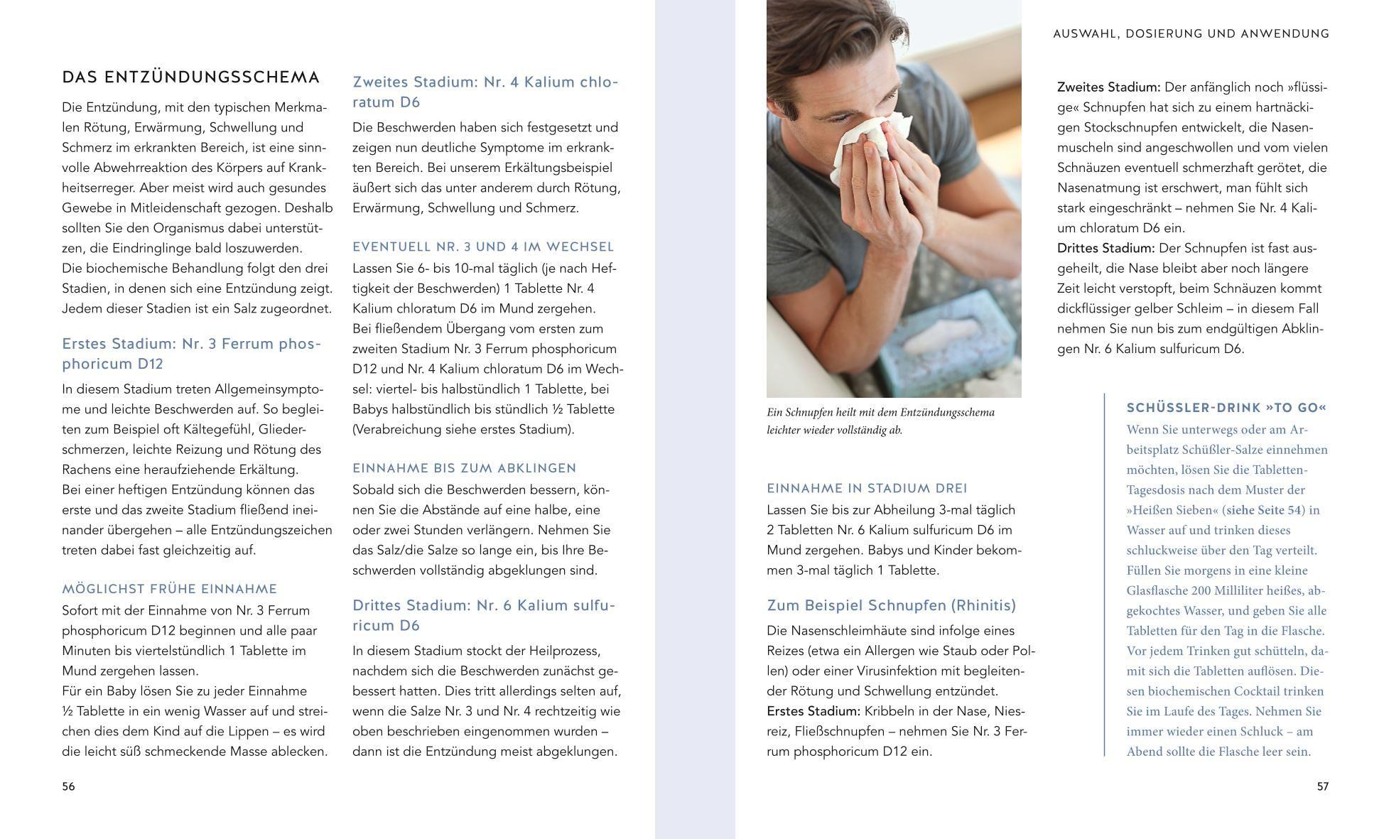 Beispielinhalt (Bild) Schüßler-Salze