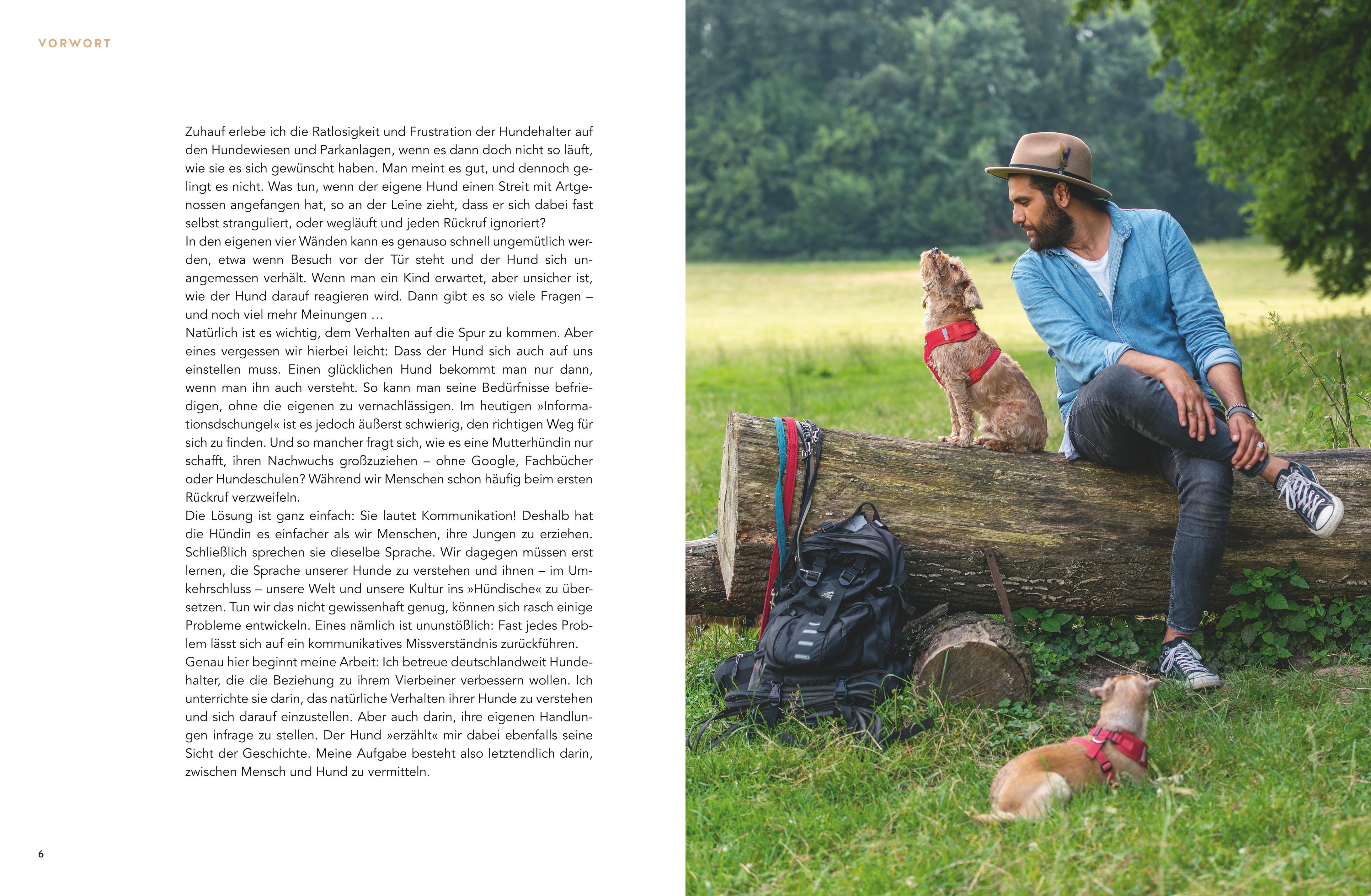 Beispielinhalt (Bild) Sei höflich zu deinem Hund!