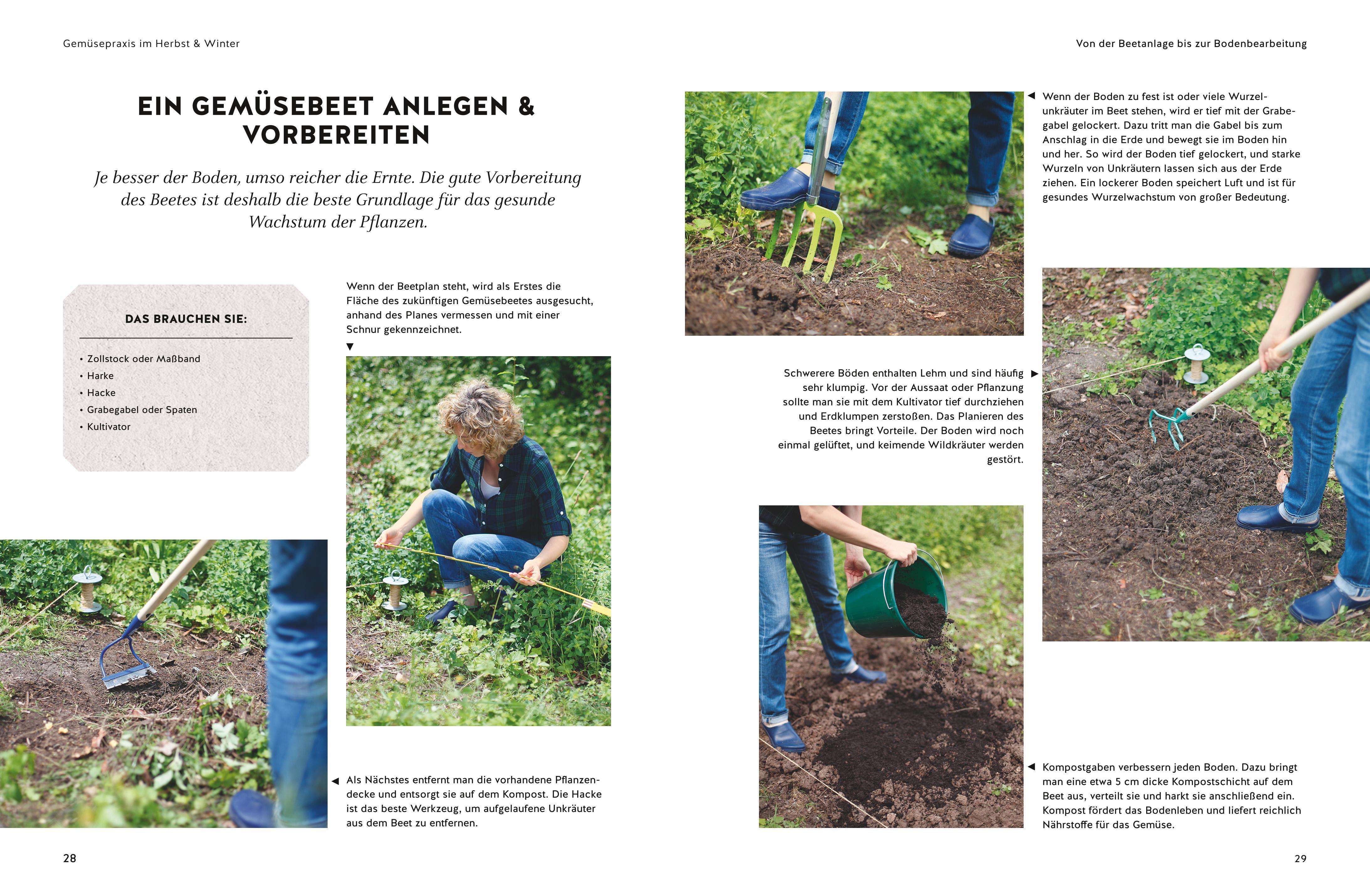 Beispielinhalt (Bild) Wintergemüse anbauen