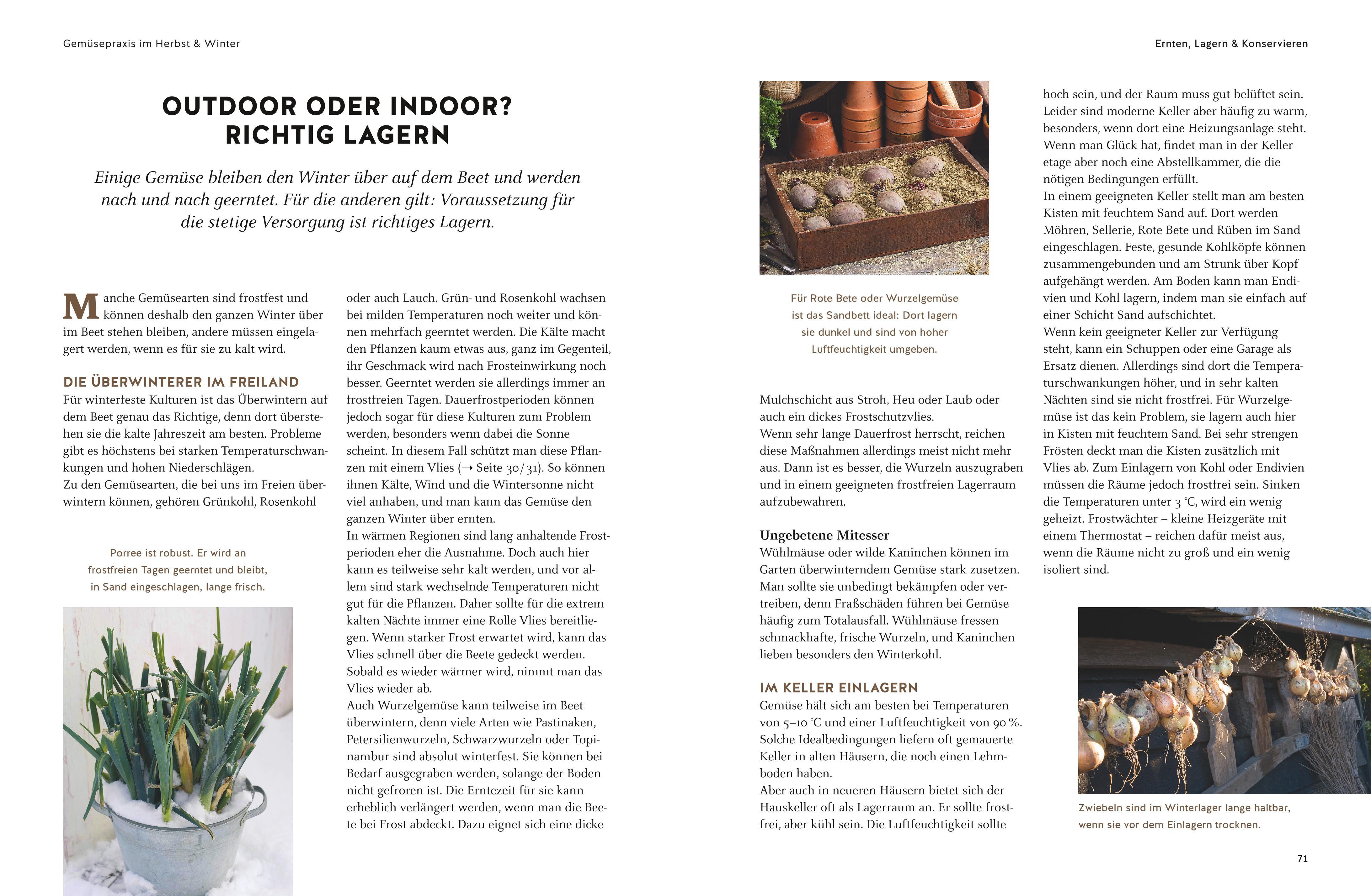 Beispielinhalt (Bild) Wintergemüse anbauen