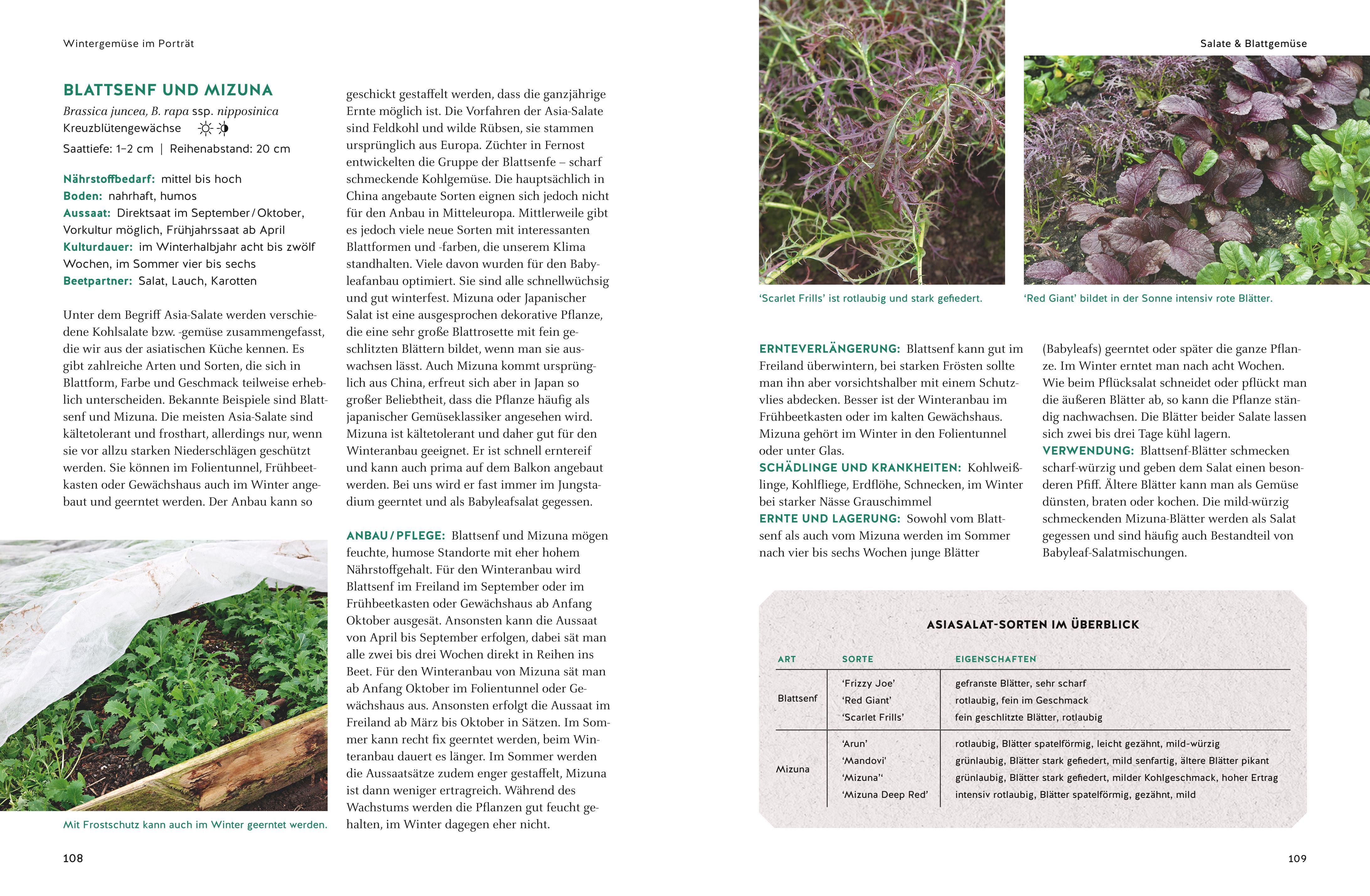 Beispielinhalt (Bild) Wintergemüse anbauen
