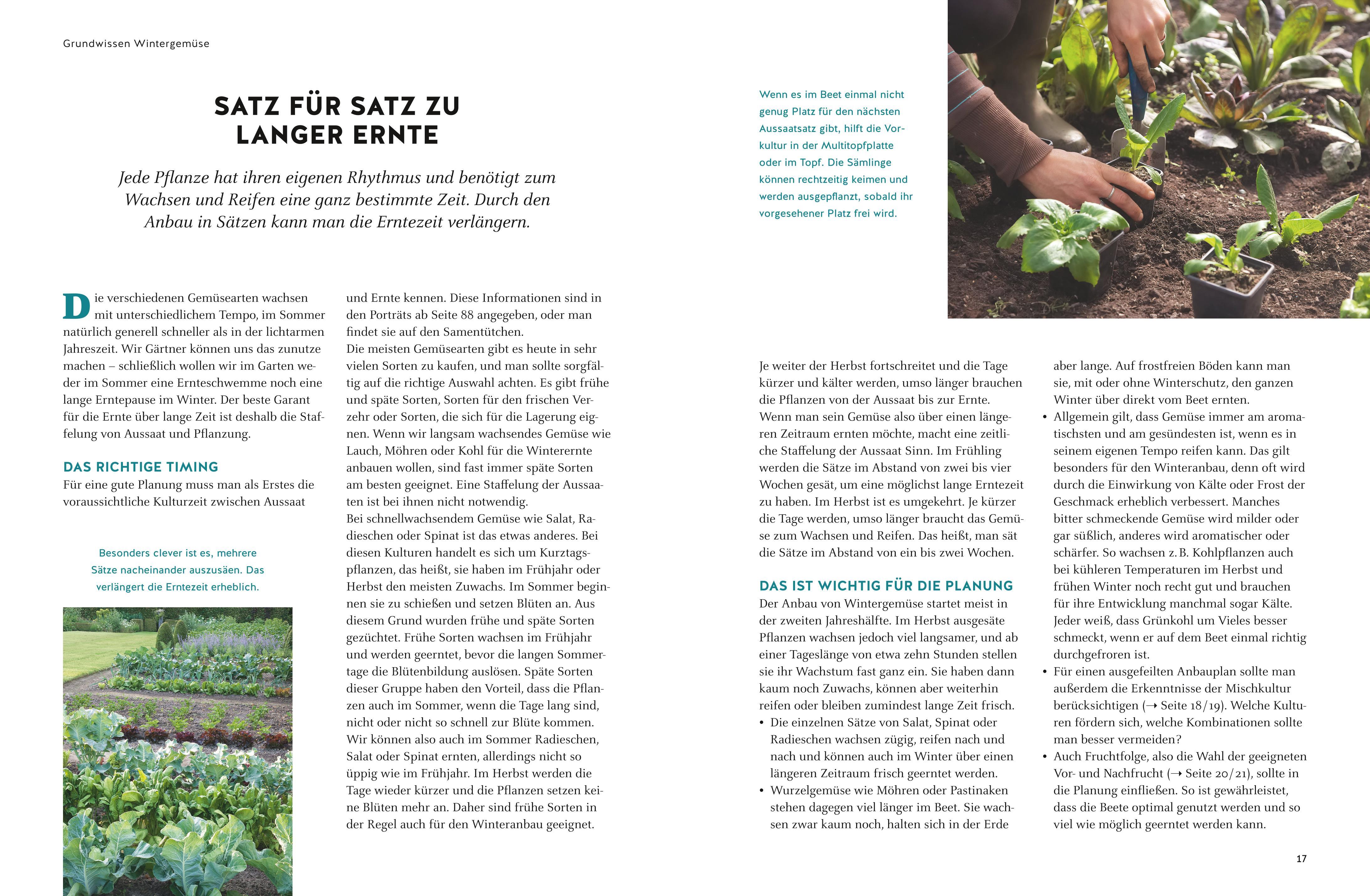 Beispielinhalt (Bild) Wintergemüse anbauen