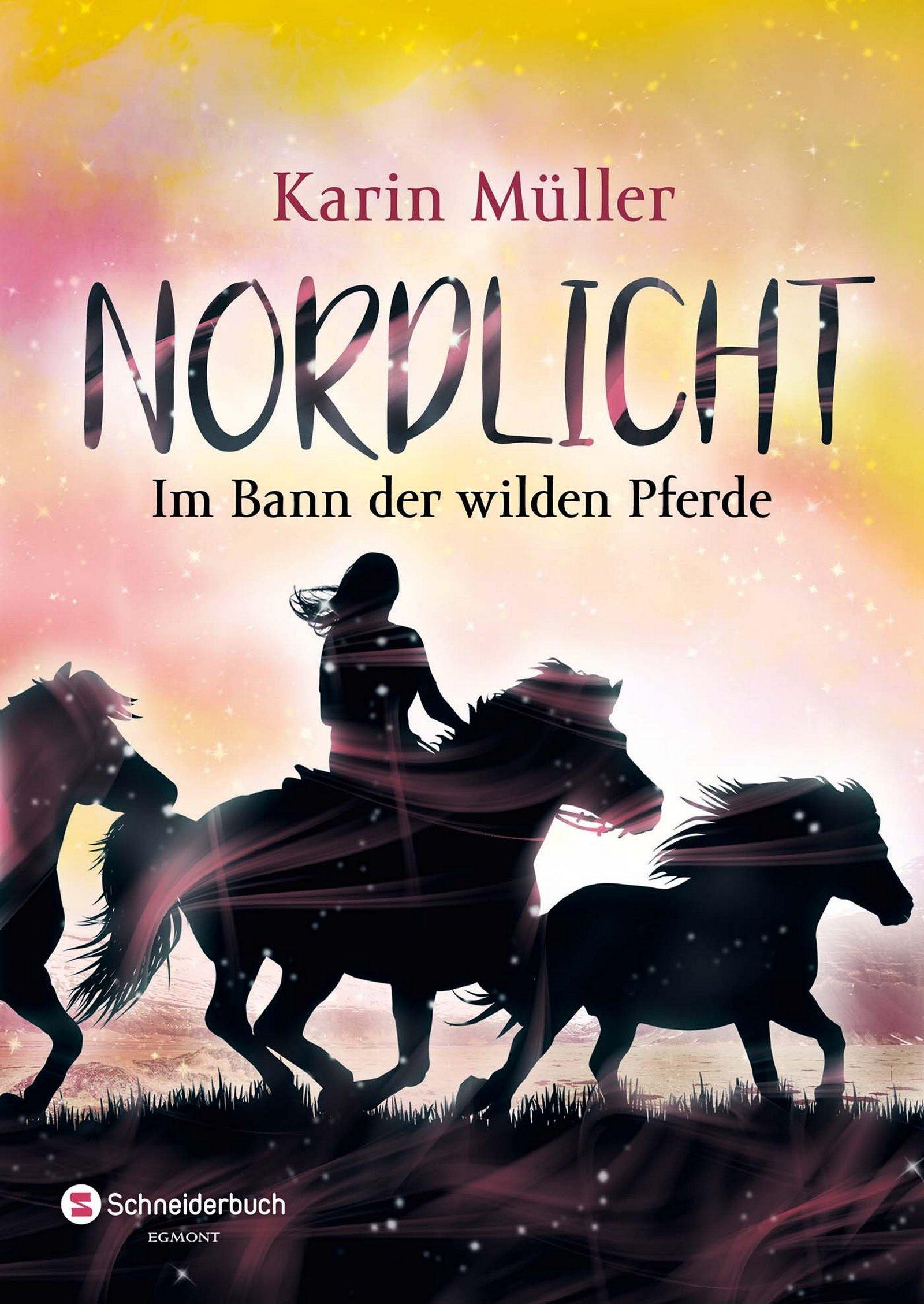 Vorderes Coverbild Nordlicht, Band 02