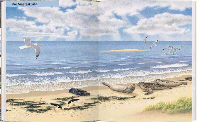 Beispielinhalt (Bild) Wo leben die Tiere unserer Welt?