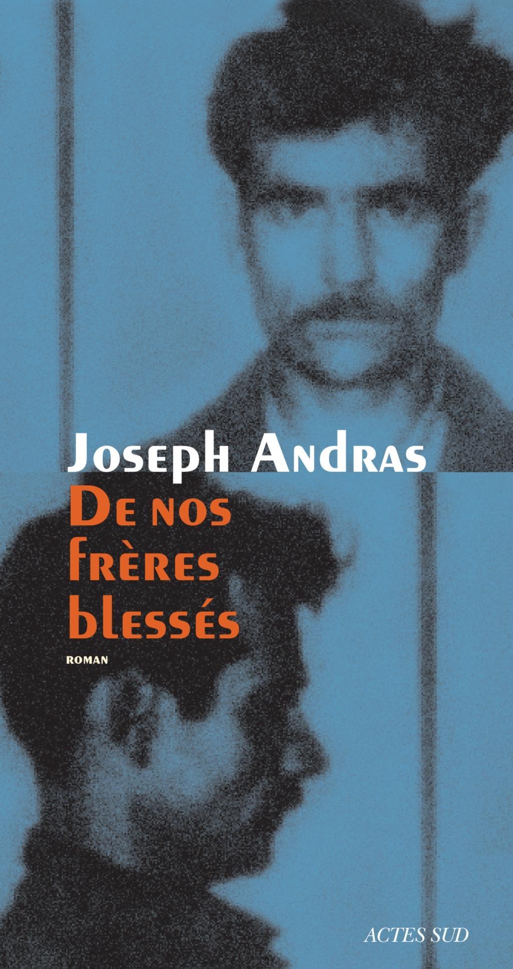 Vorderes Coverbild De nos frères blessés