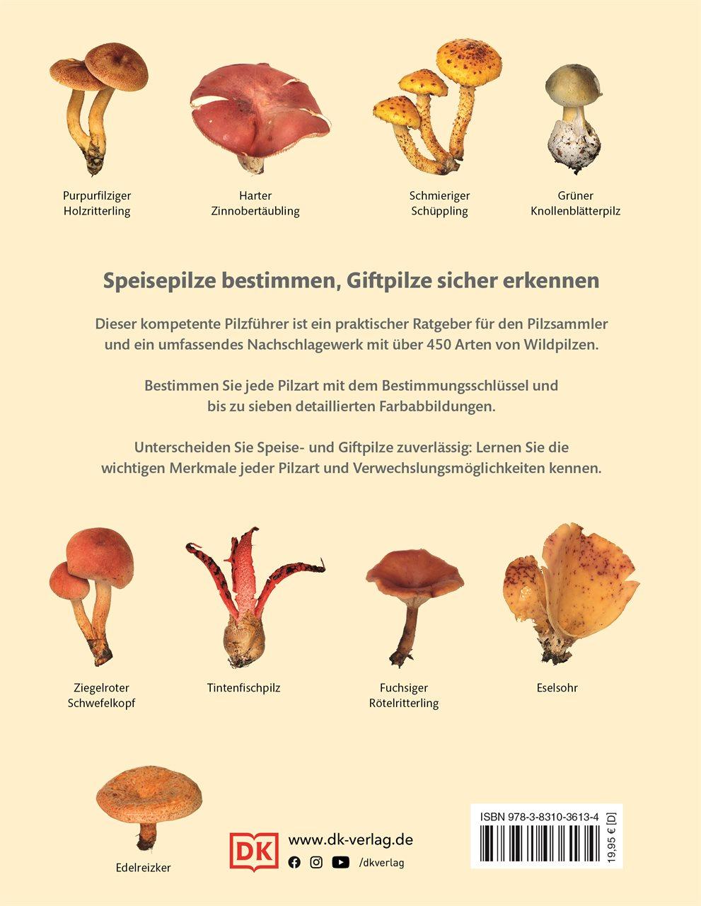 Rückseitencover Pilze