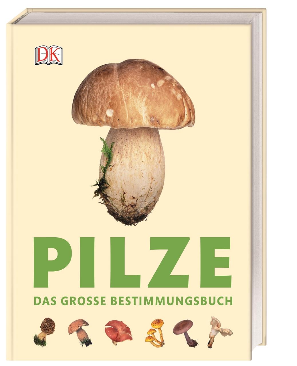 Vorderes Coverbild Pilze