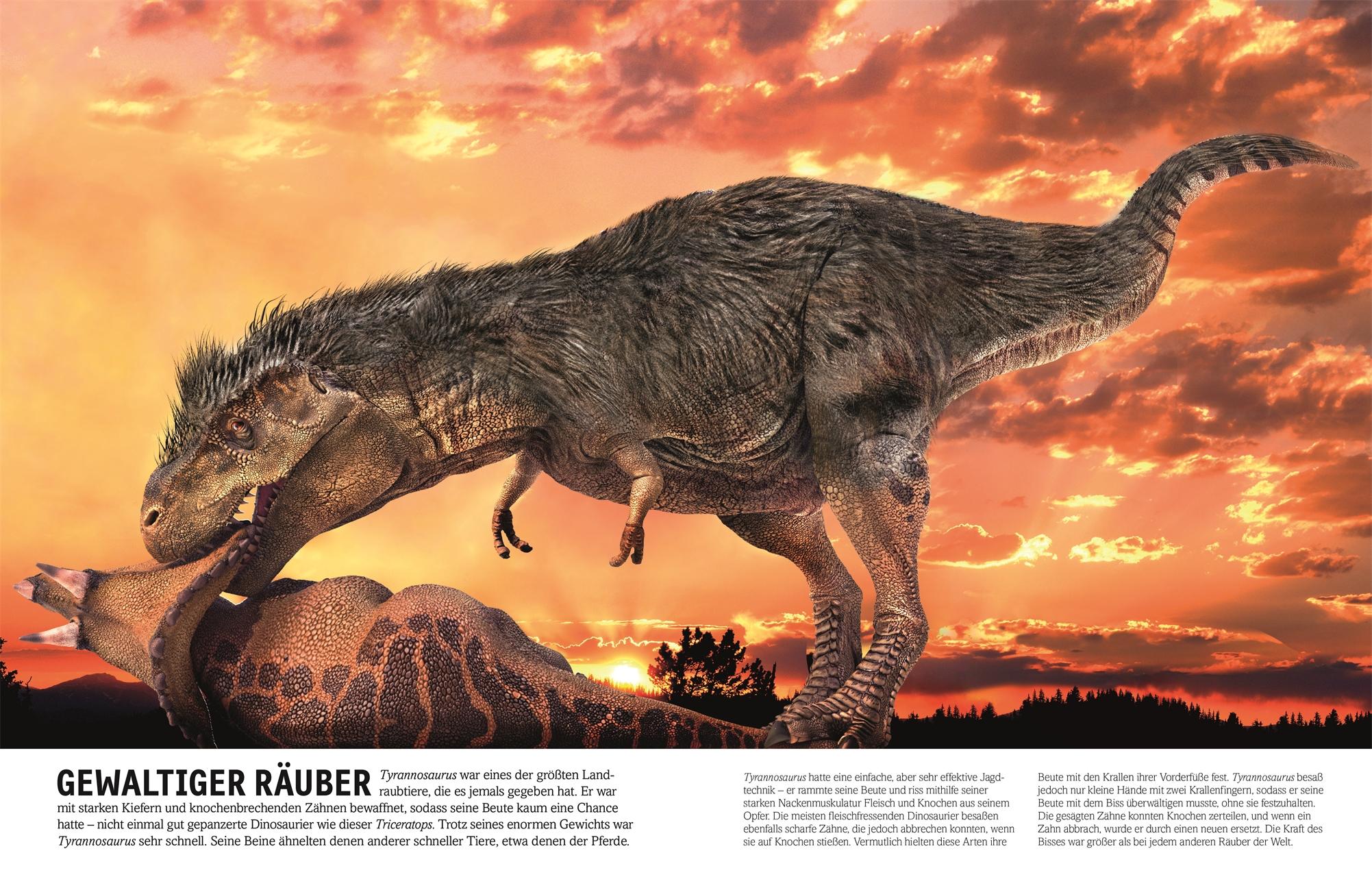 Beispielinhalt (Bild) Dinosaurier