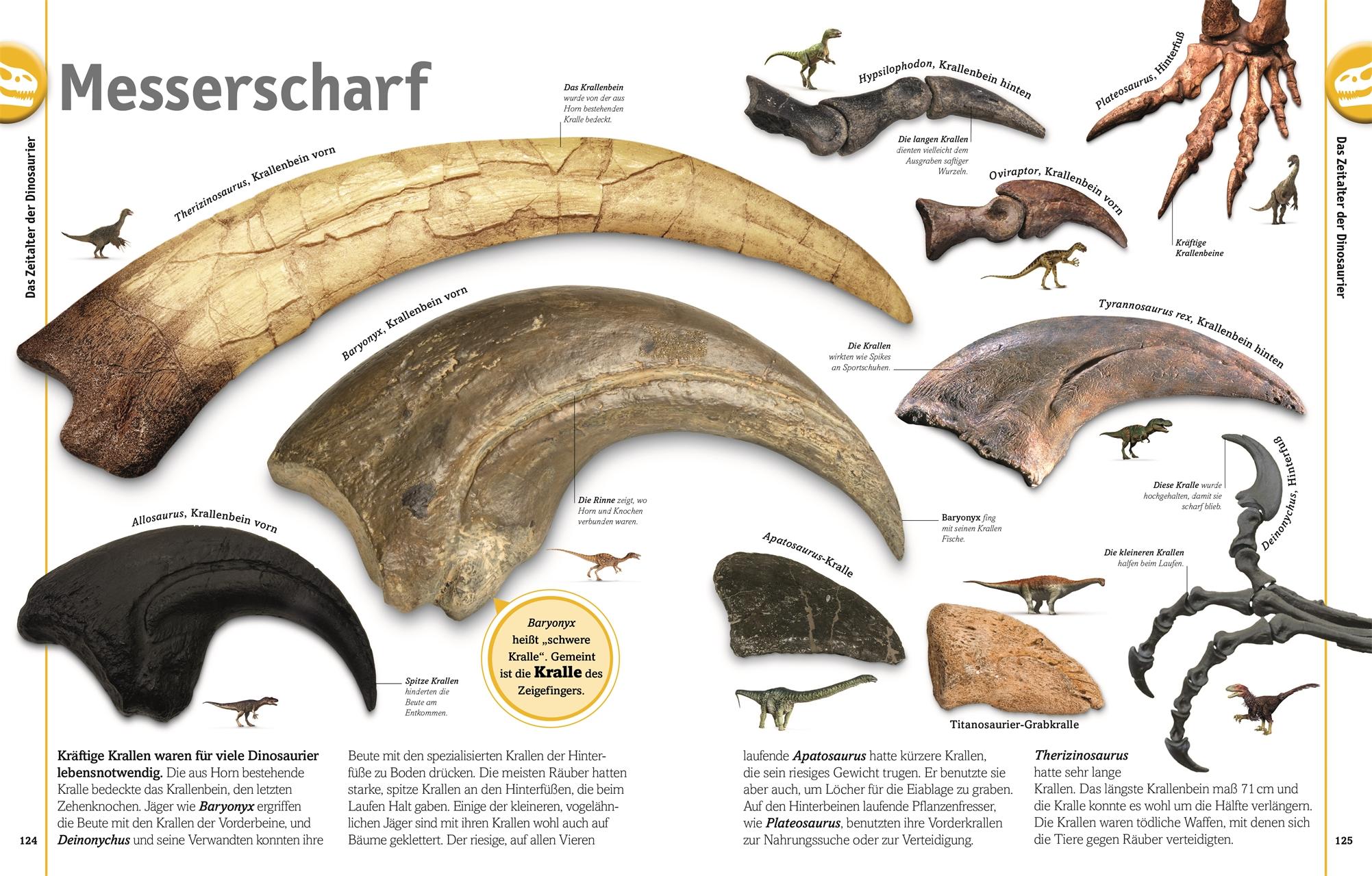 Beispielinhalt (Bild) Dinosaurier