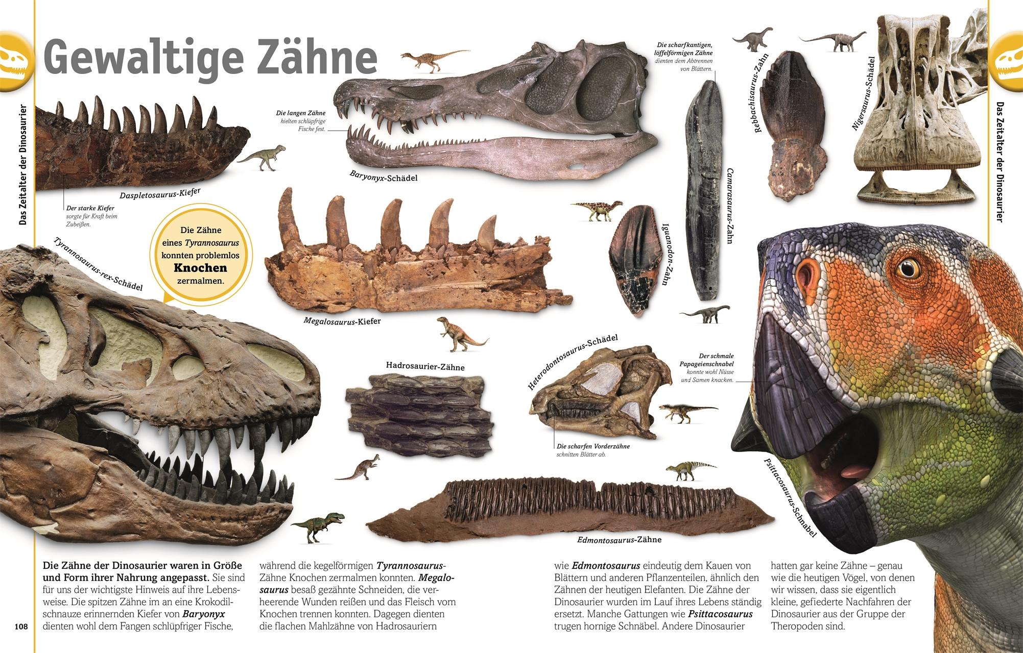 Beispielinhalt (Bild) Dinosaurier