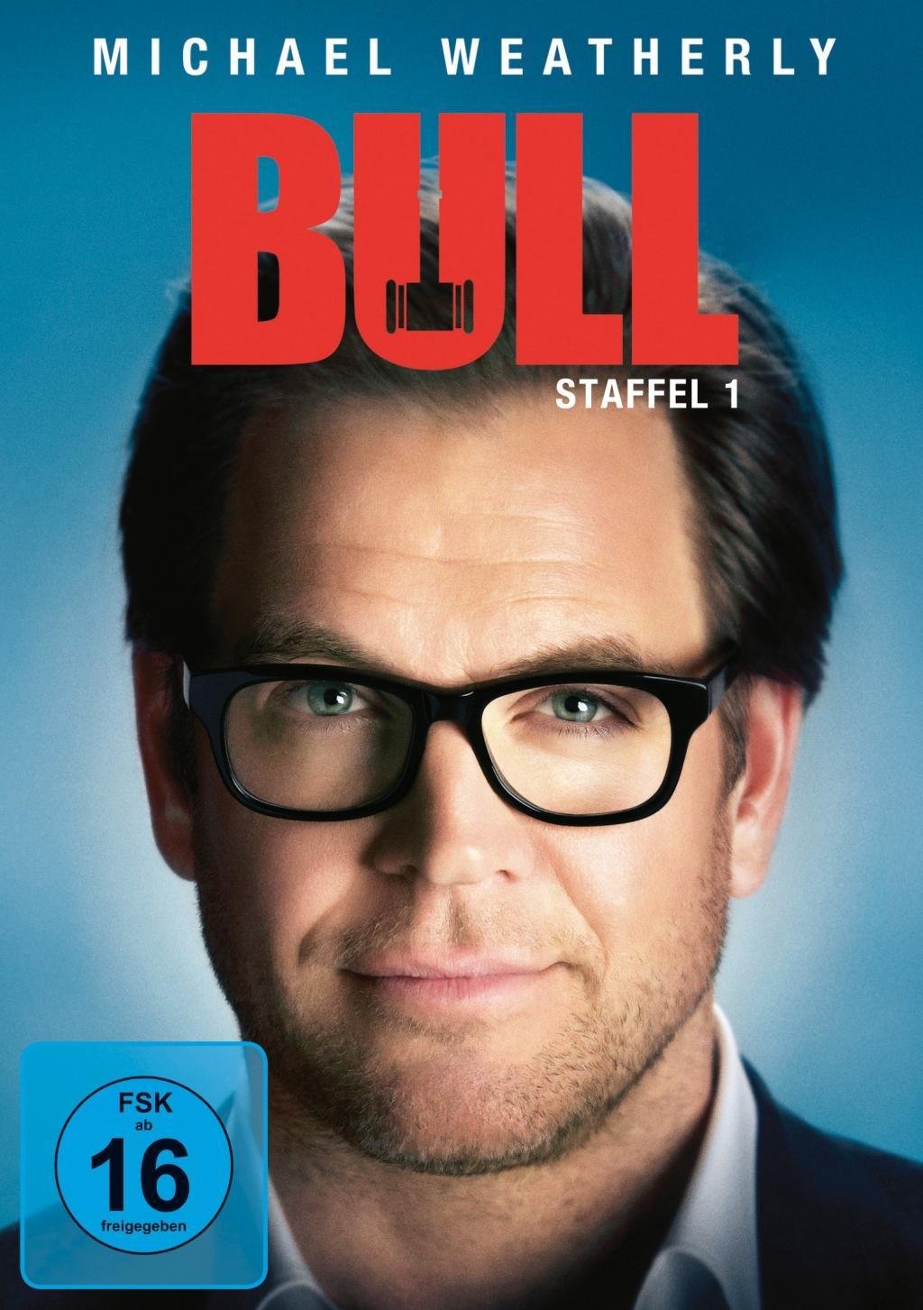 Vorderes Coverbild Bull