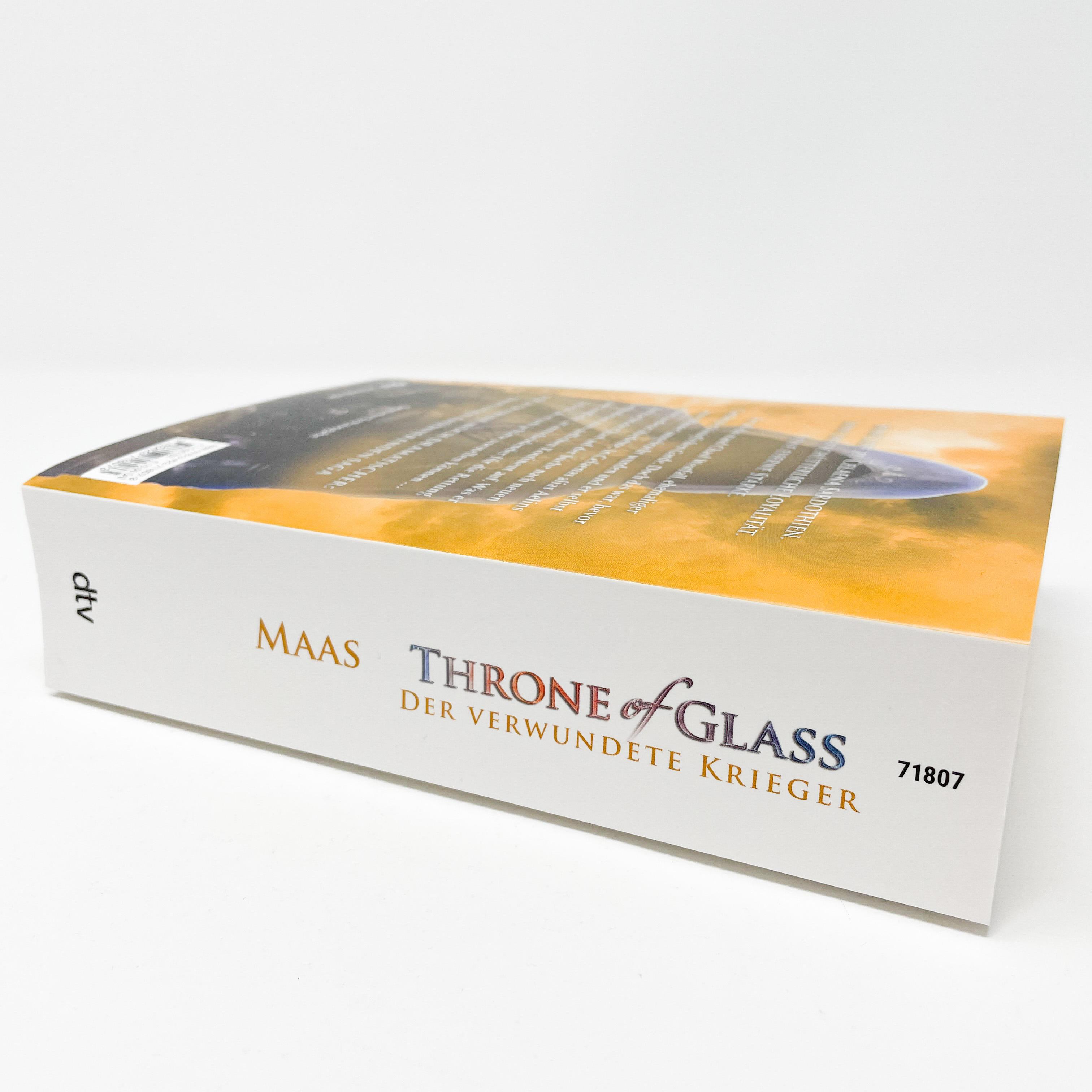 Beispielinhalt (Bild) Throne of Glass 06 - Der verwundete Krieger
