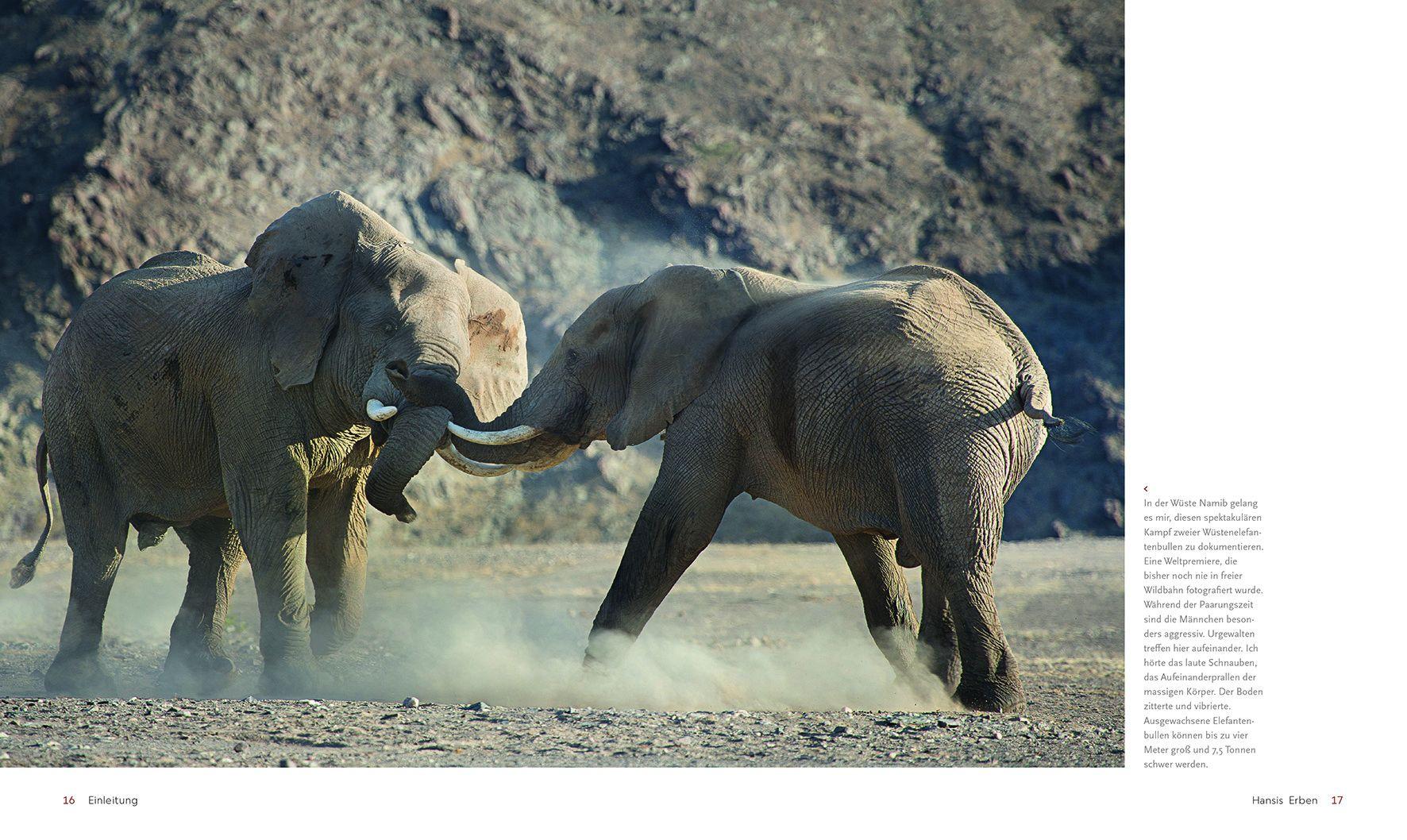 Beispielinhalt (Bild) Im Bann der wilden Tiere