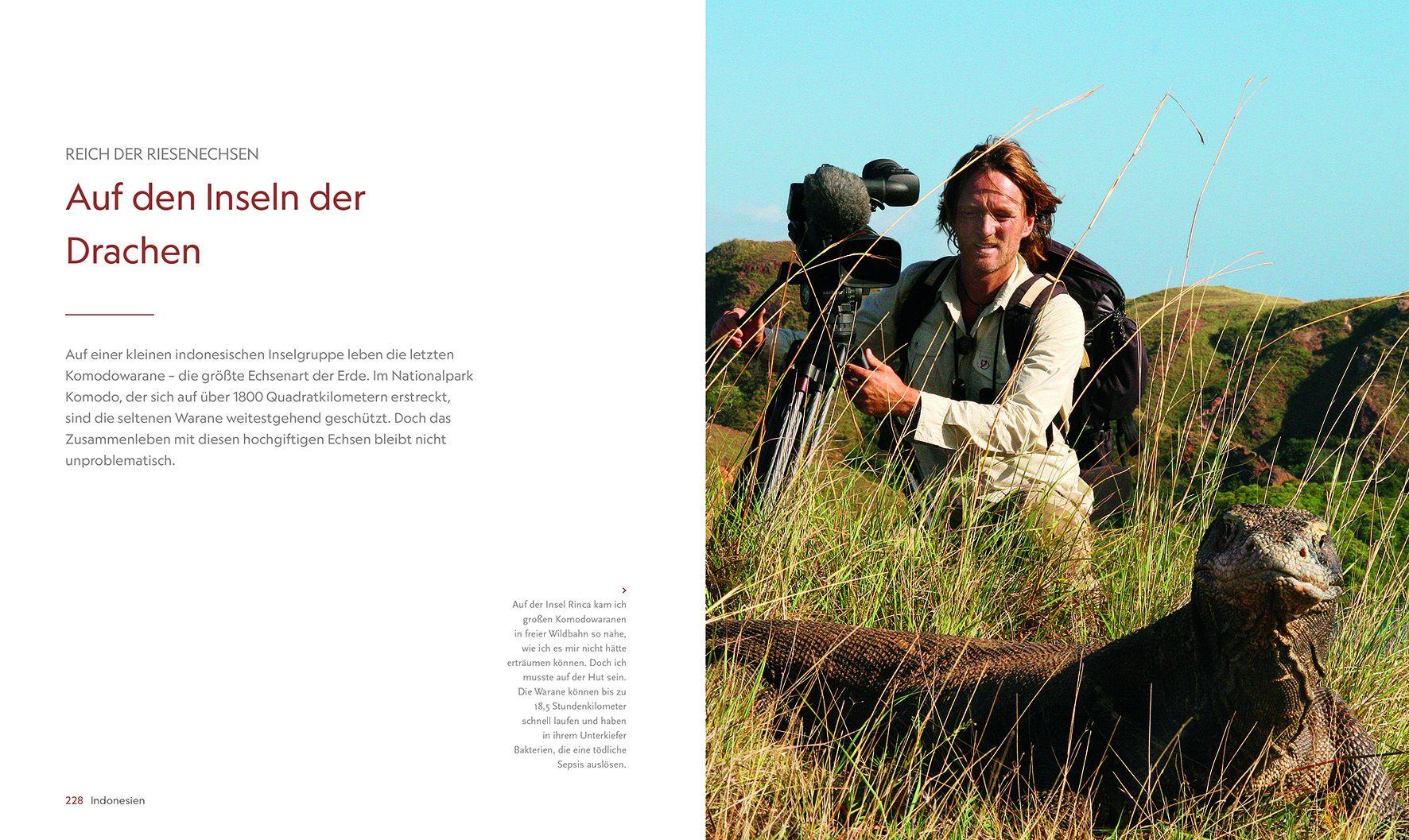 Beispielinhalt (Bild) Im Bann der wilden Tiere