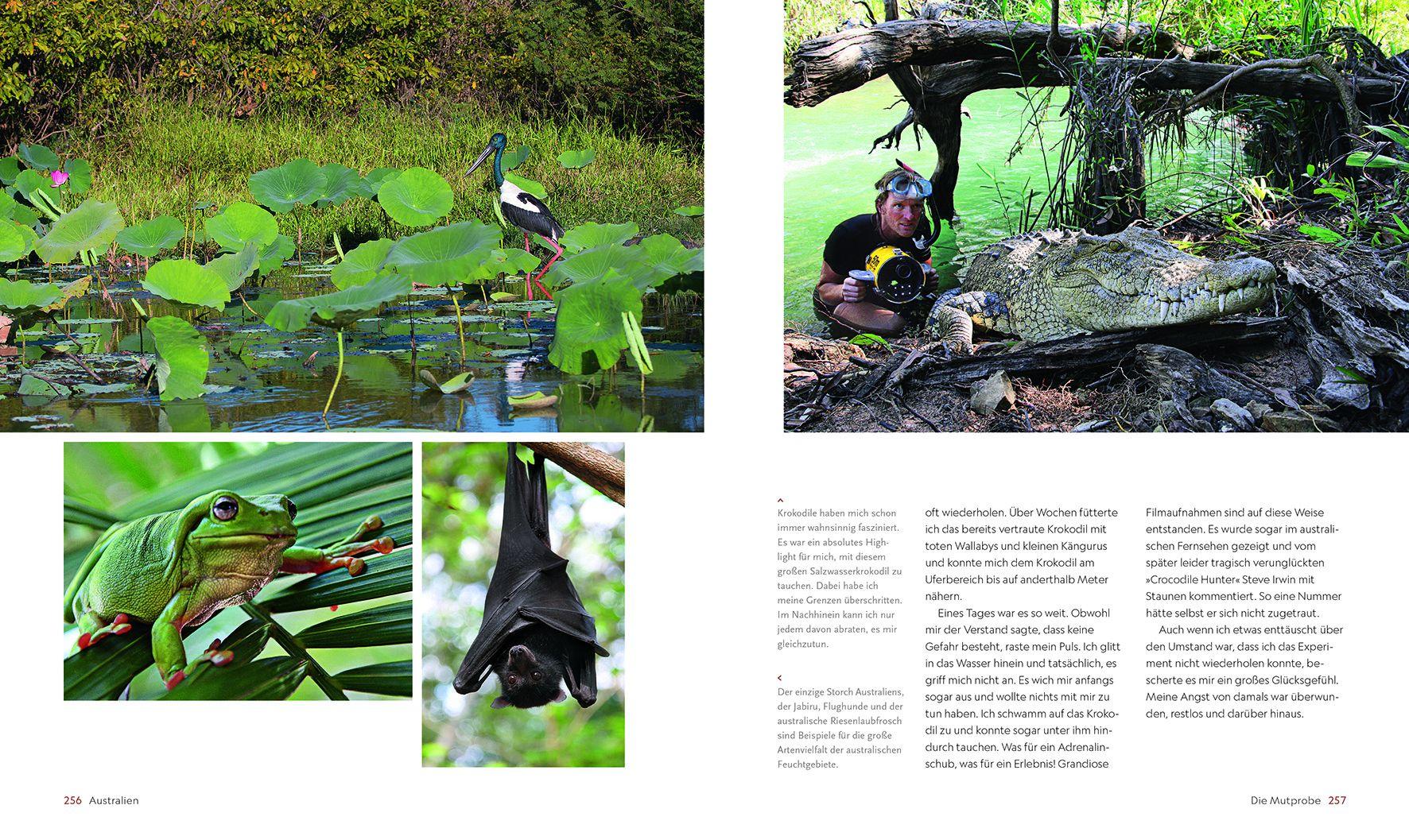 Beispielinhalt (Bild) Im Bann der wilden Tiere