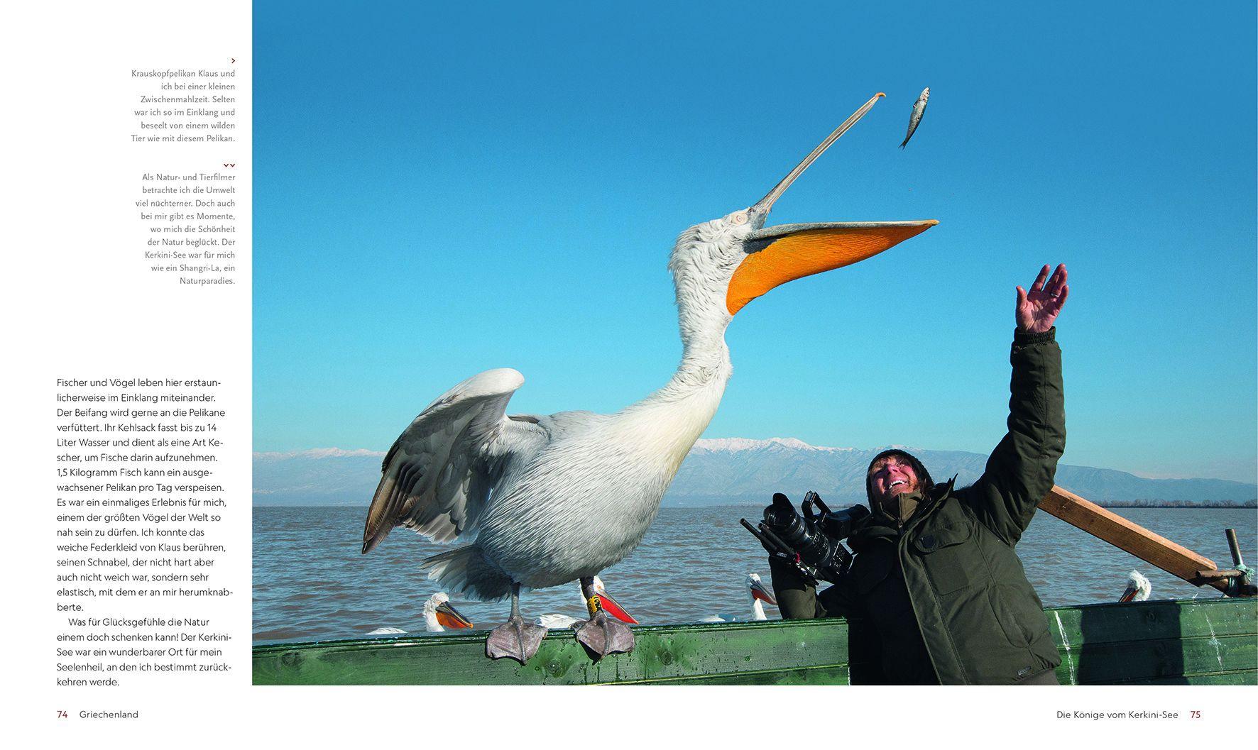 Beispielinhalt (Bild) Im Bann der wilden Tiere