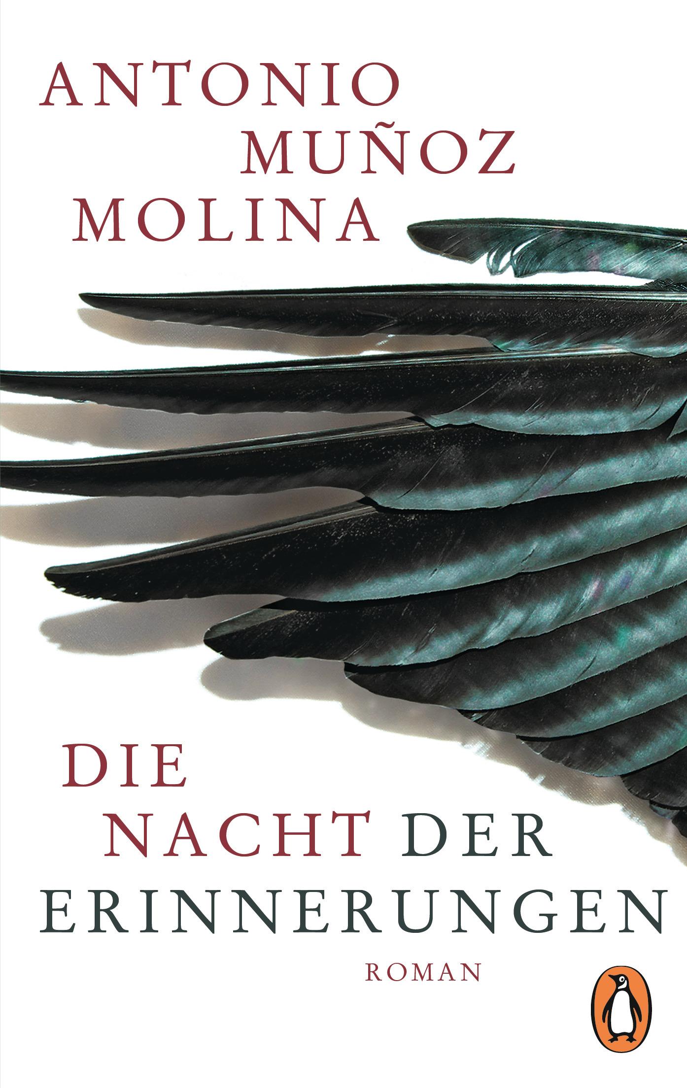 Vorderes Coverbild Die Nacht der Erinnerungen