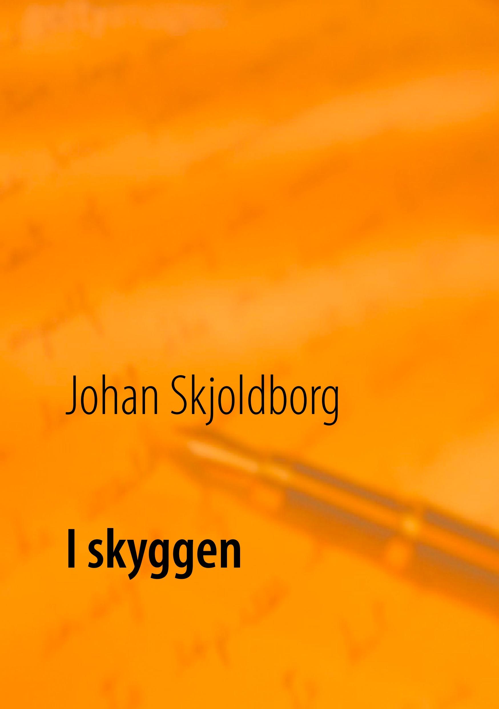 Vorderes Coverbild I skyggen