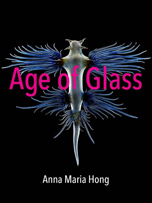 Vorderes Coverbild Age of Glass
