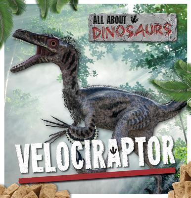 Vorderes Coverbild Velociraptor