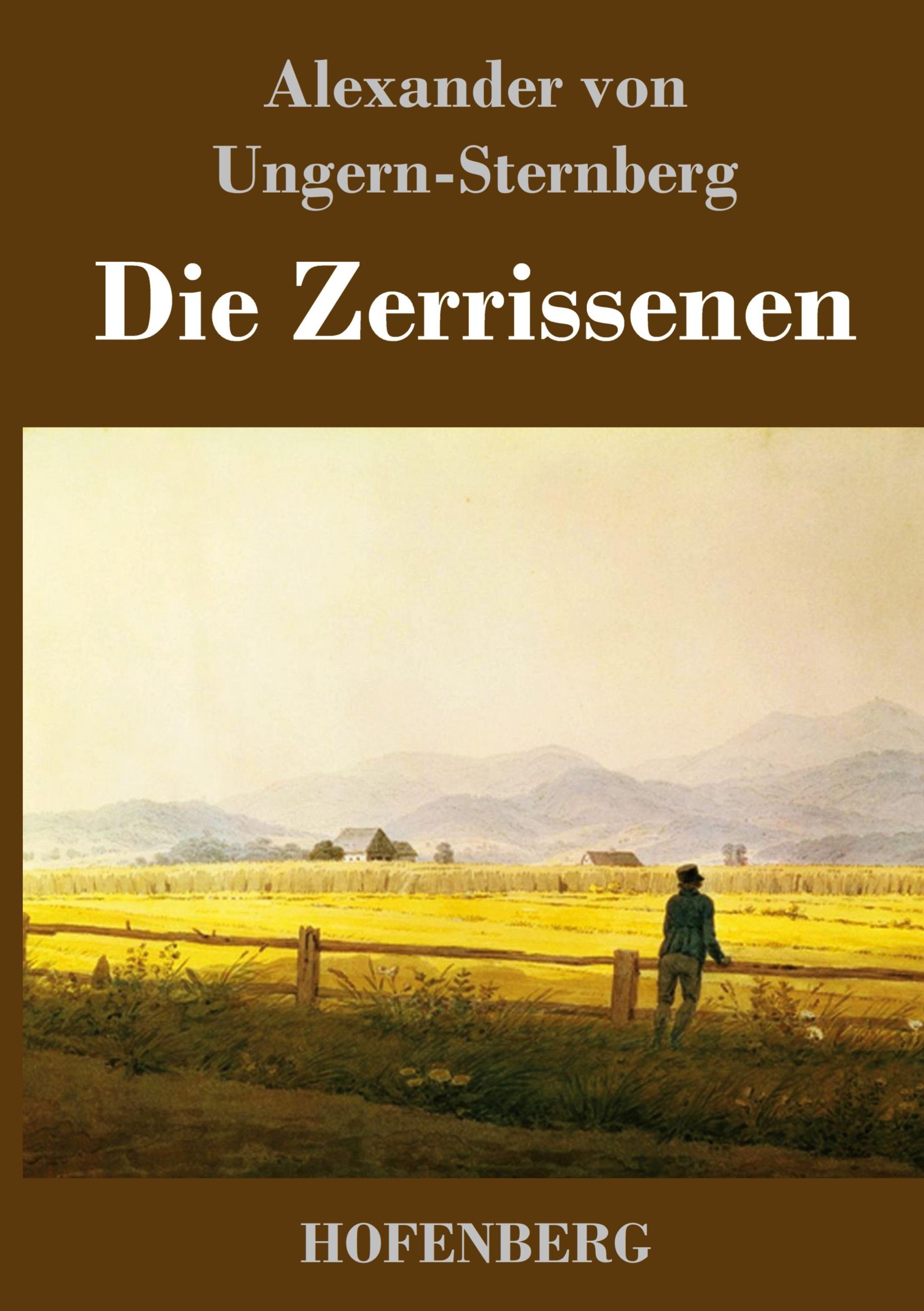 Vorderes Coverbild Die Zerrissenen