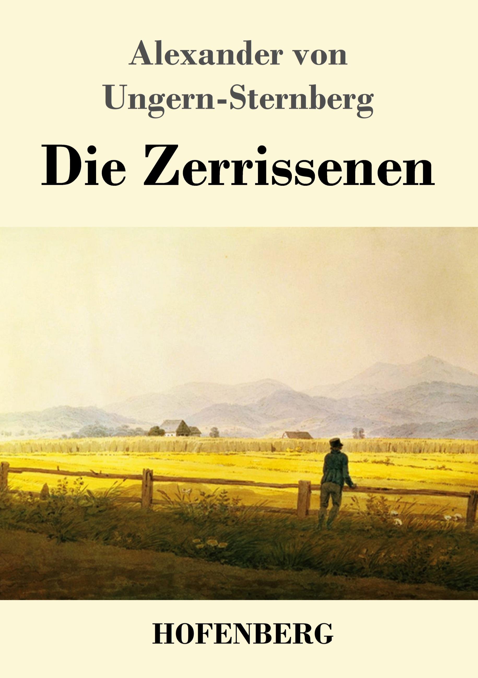Vorderes Coverbild Die Zerrissenen