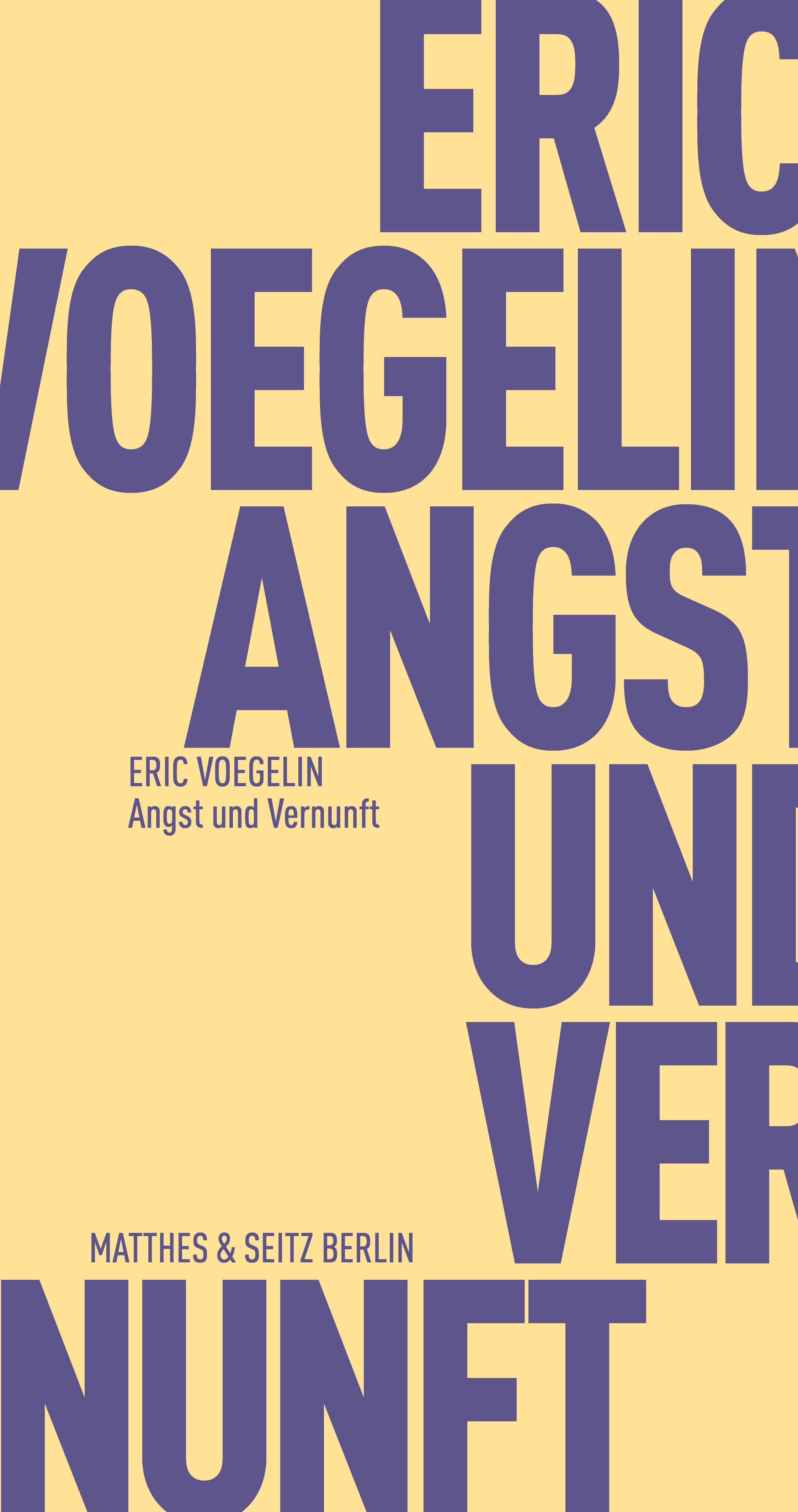 Vorderes Coverbild Angst und Vernunft