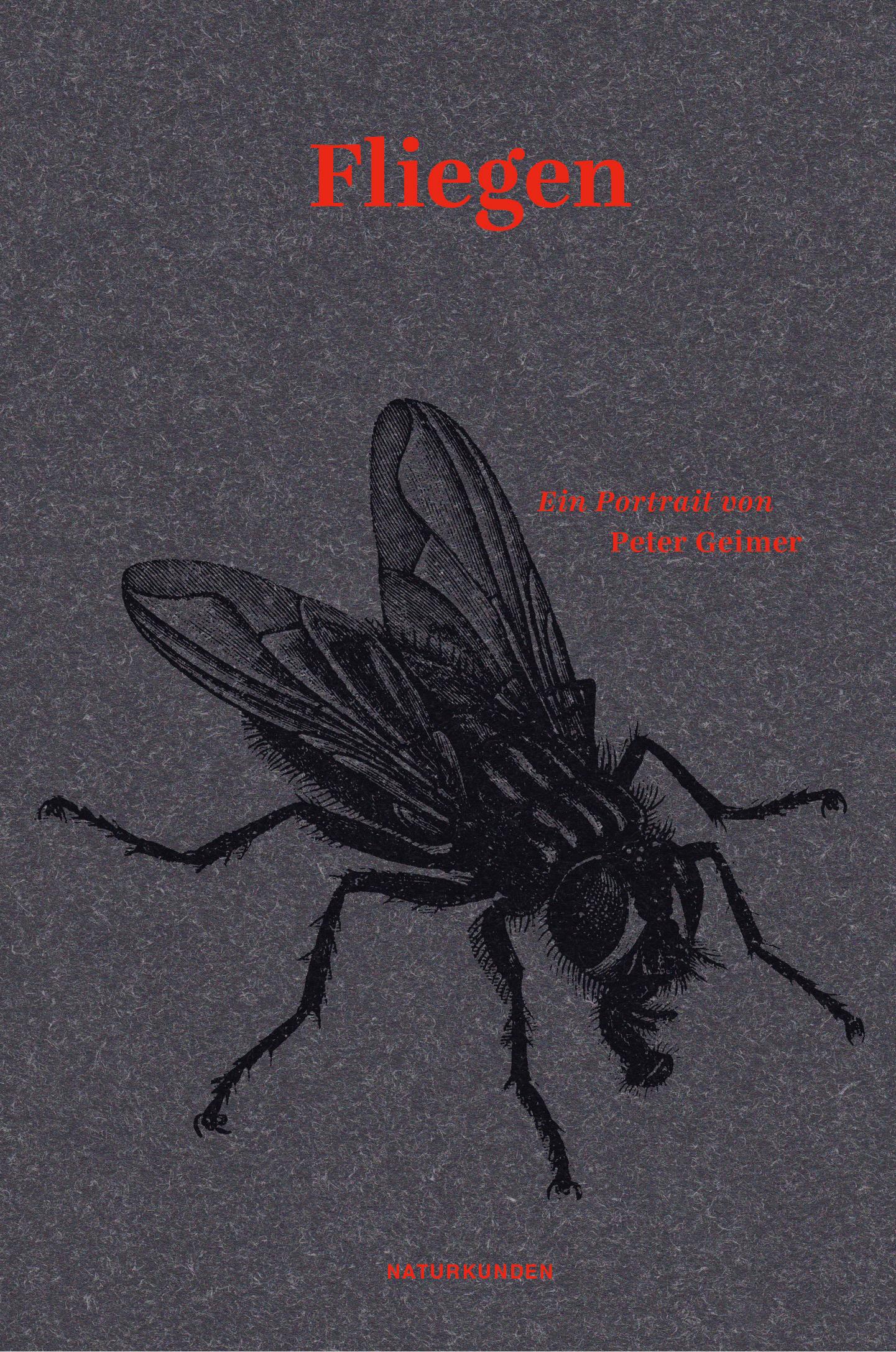Vorderes Coverbild Fliegen