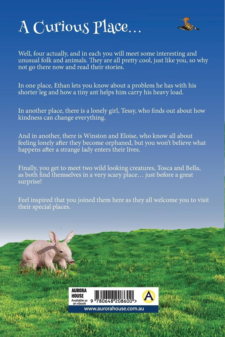 Rückseitencover A Curious Place