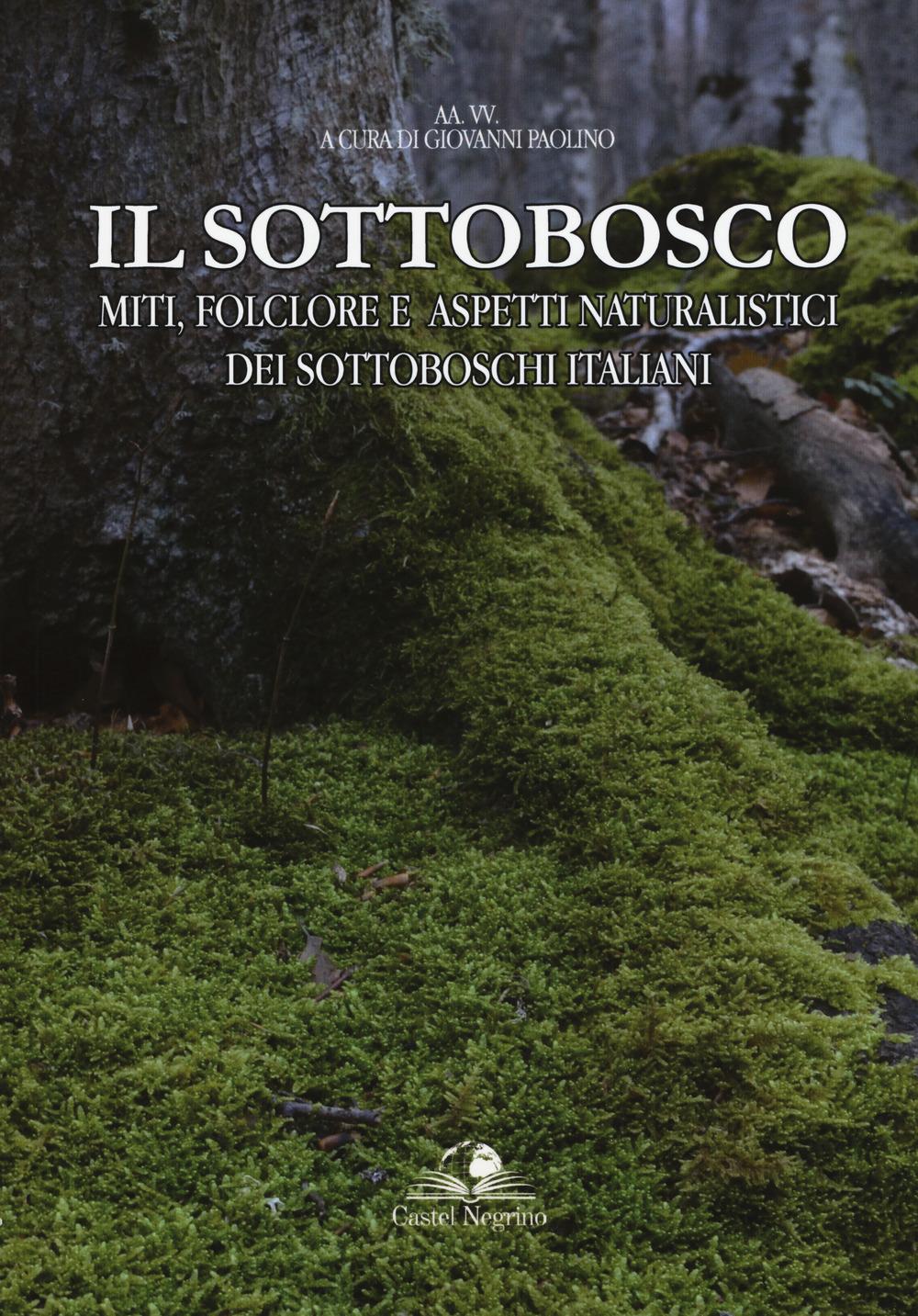 Vorderes Coverbild Il sottobosco. Miti, folclore e aspetti naturalistici dei sottoboschi italiani