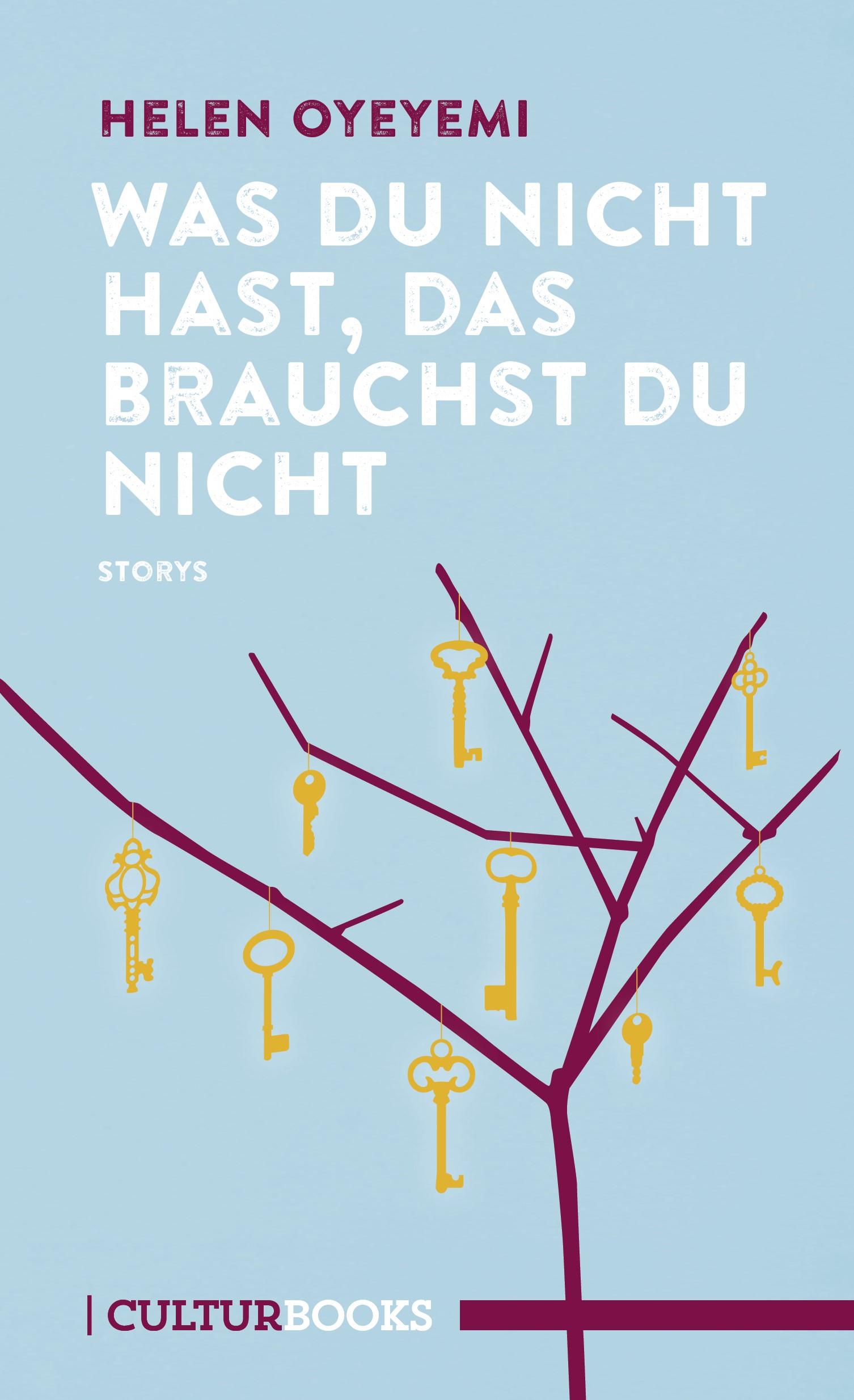 Vorderes Coverbild Was du nicht hast, das brauchst du nicht