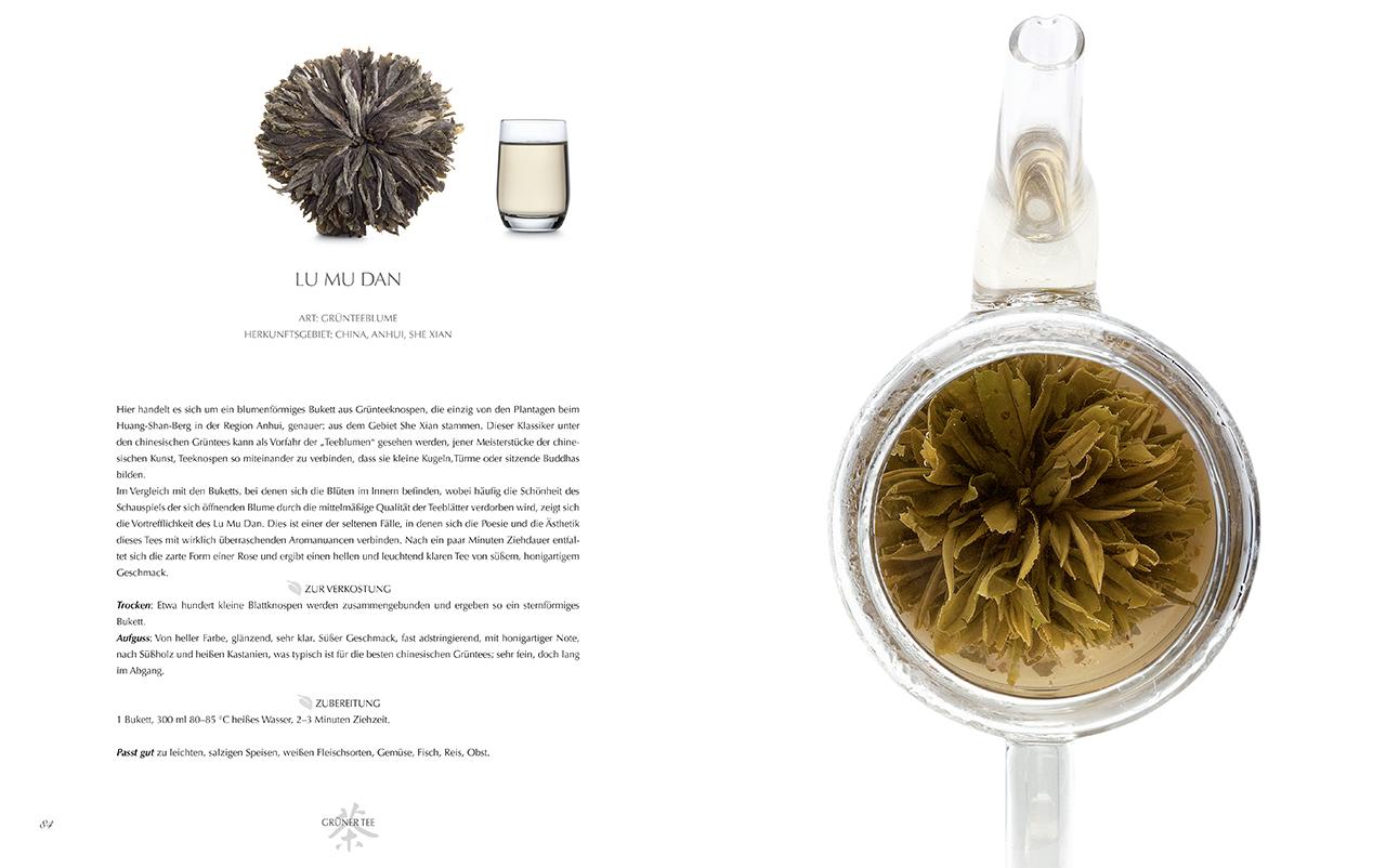 Beispielinhalt (Bild) Tee-Sommelier