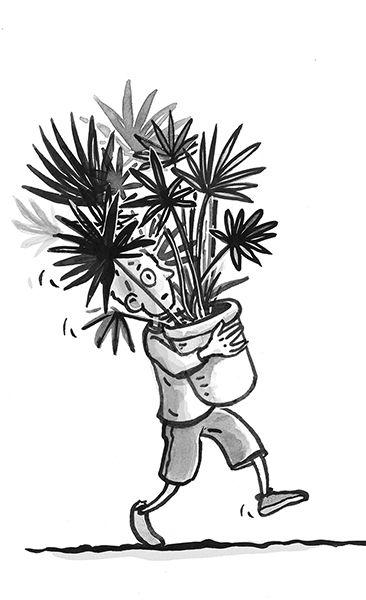 Beispielinhalt (Bild) Uli Unsichtbar