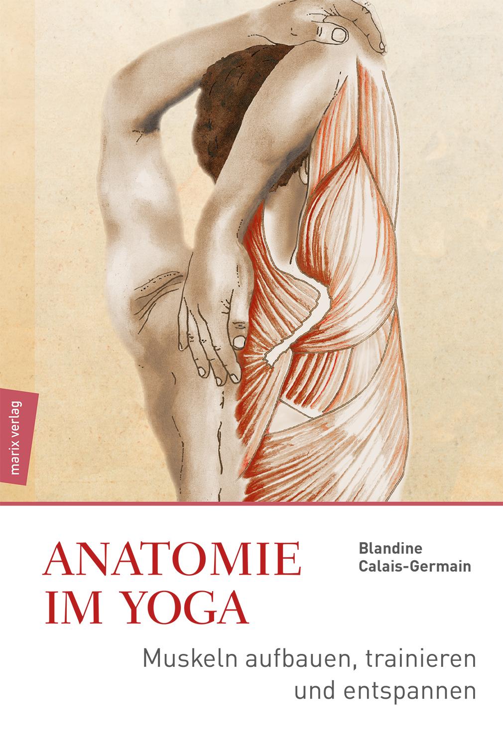 Vorderes Coverbild Anatomie im Yoga