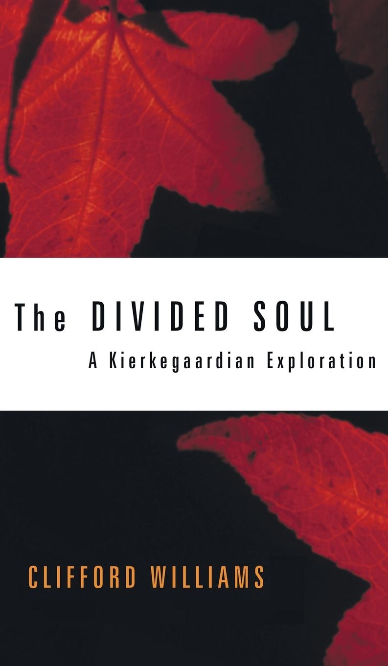 Vorderes Coverbild The Divided Soul