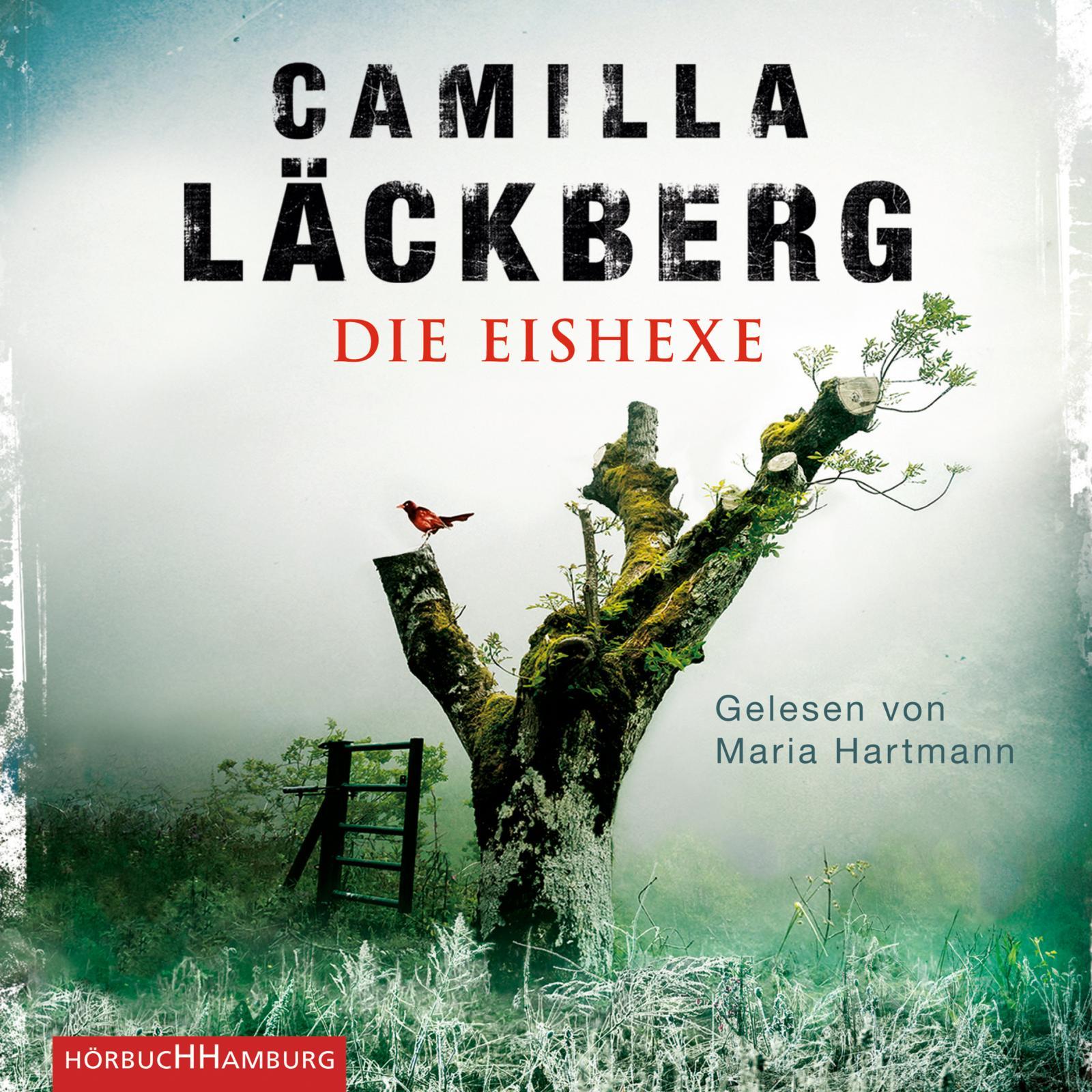 Vorderes Coverbild Die Eishexe