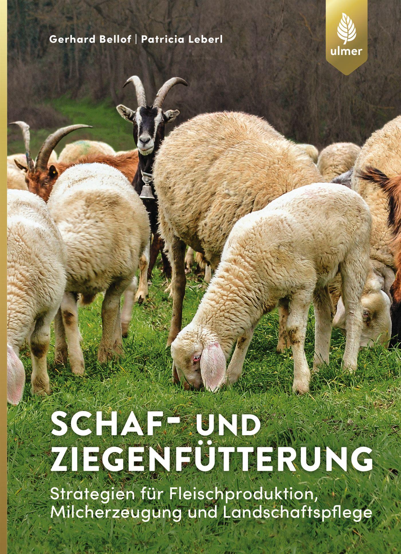 Vorderes Coverbild Schaf- und Ziegenfütterung