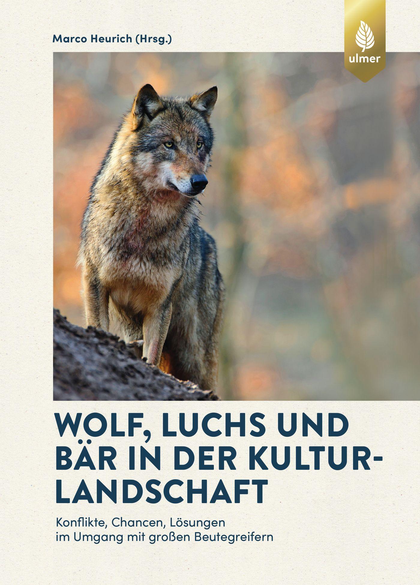 Vorderes Coverbild Wolf, Luchs und Bär in der Kulturlandschaft